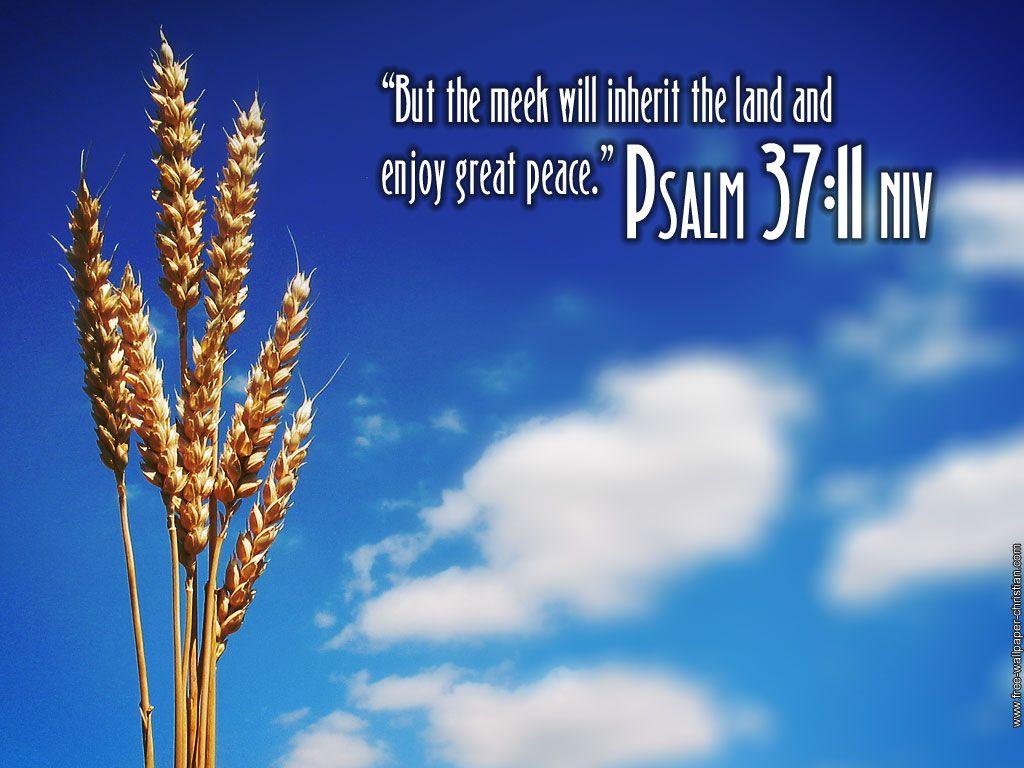 Psalm Wallpaper