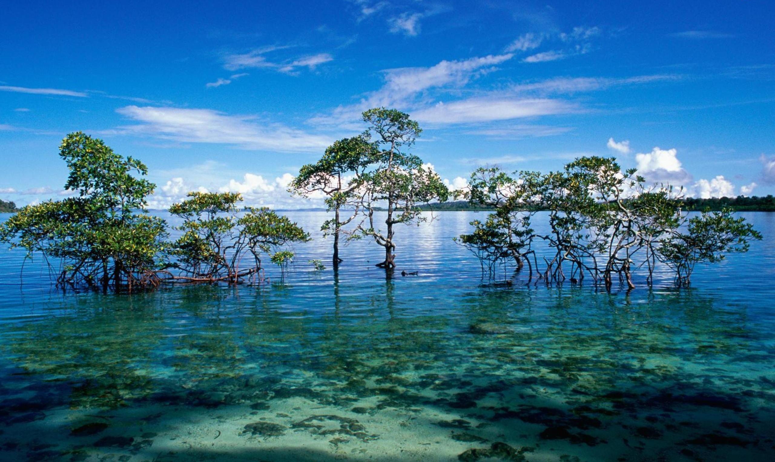 HD Wallpaper For PC Of Nature
