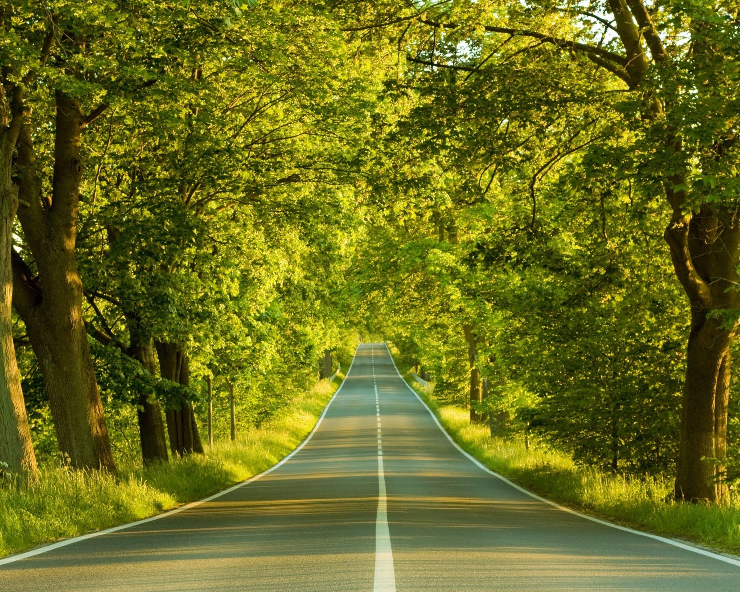 Summer Road HD Wallpaper Nature Free Download Wallpaper