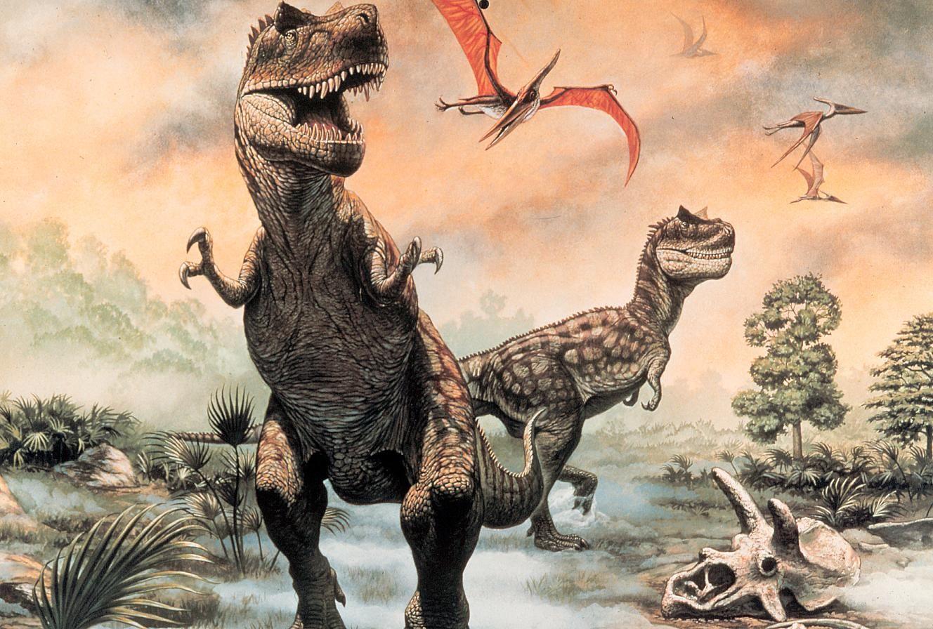 More Dinosaur Wallpaper