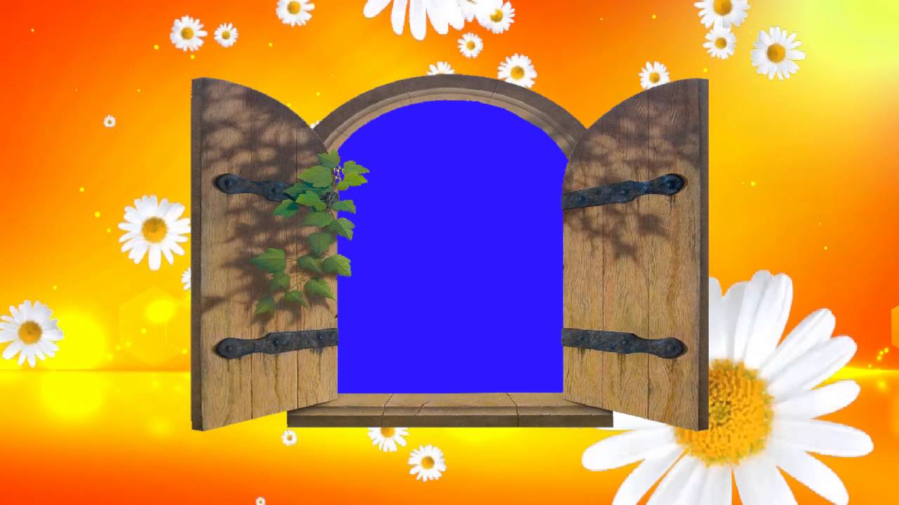 Animated Wedding Video Background Blue Screen Animated Effects HD