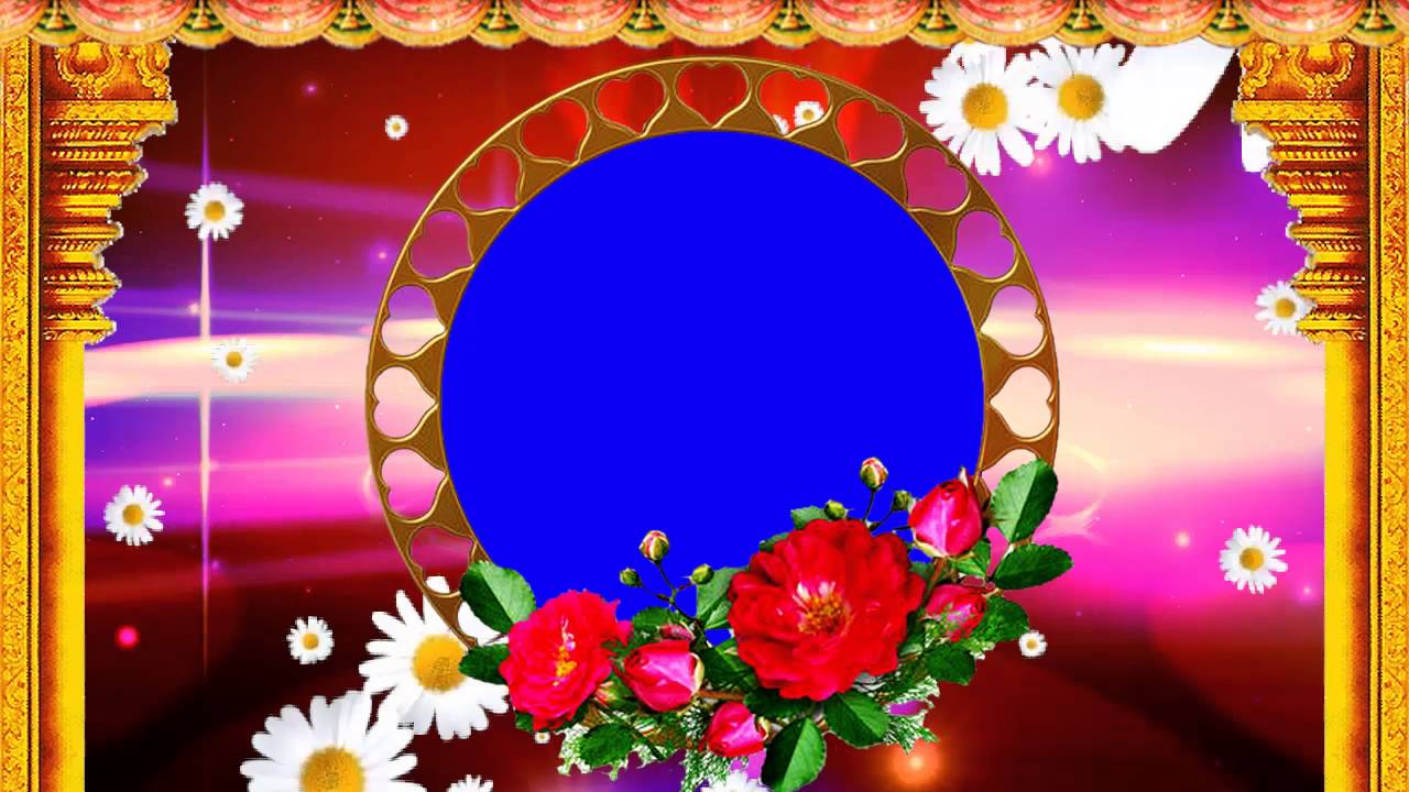 Beautiful Blue Screen Wedding Background Animated Effects Video
