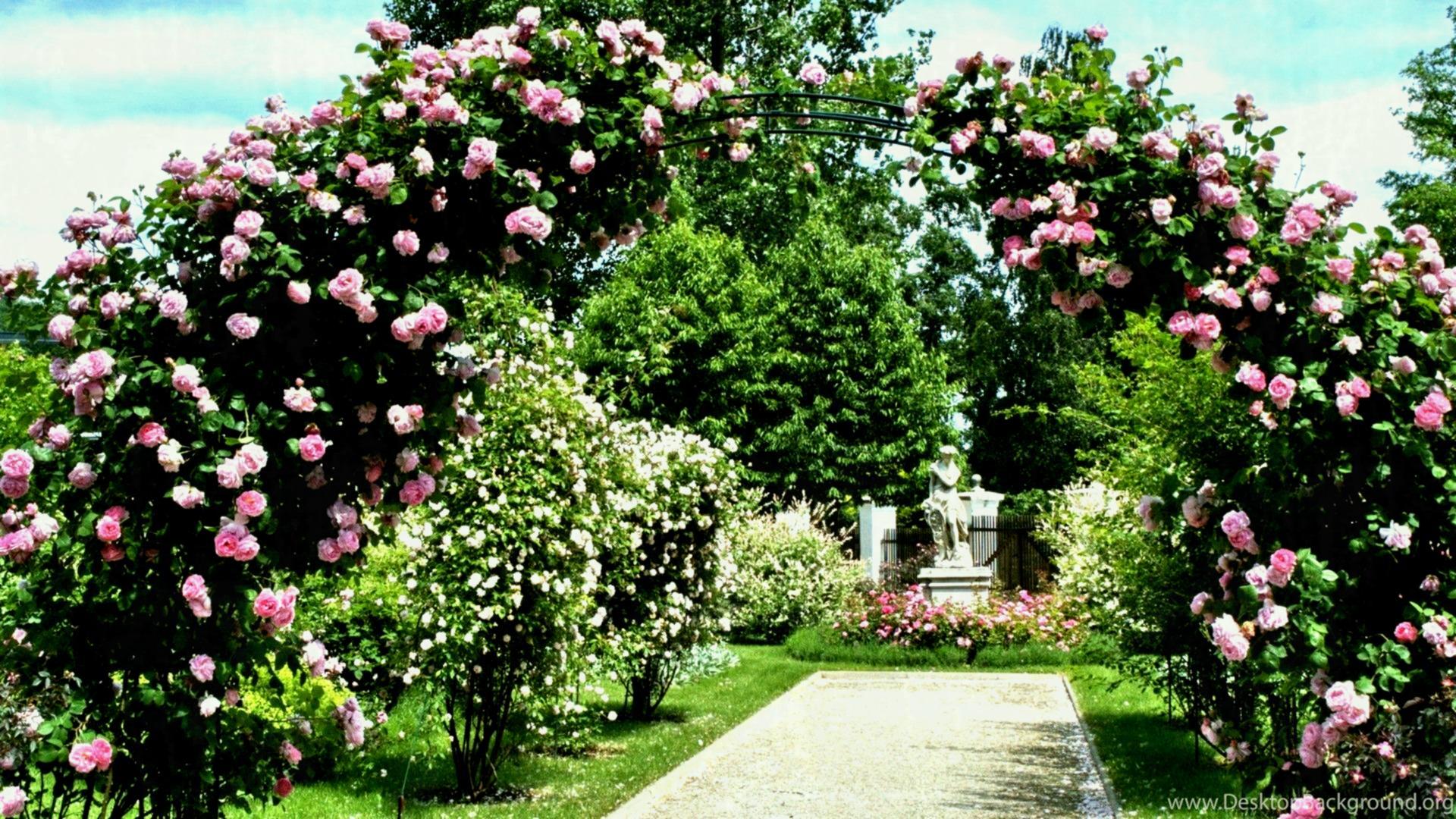 Popular Arbor Tag Wallpaper Secret Garden Flowers Arch House Roses