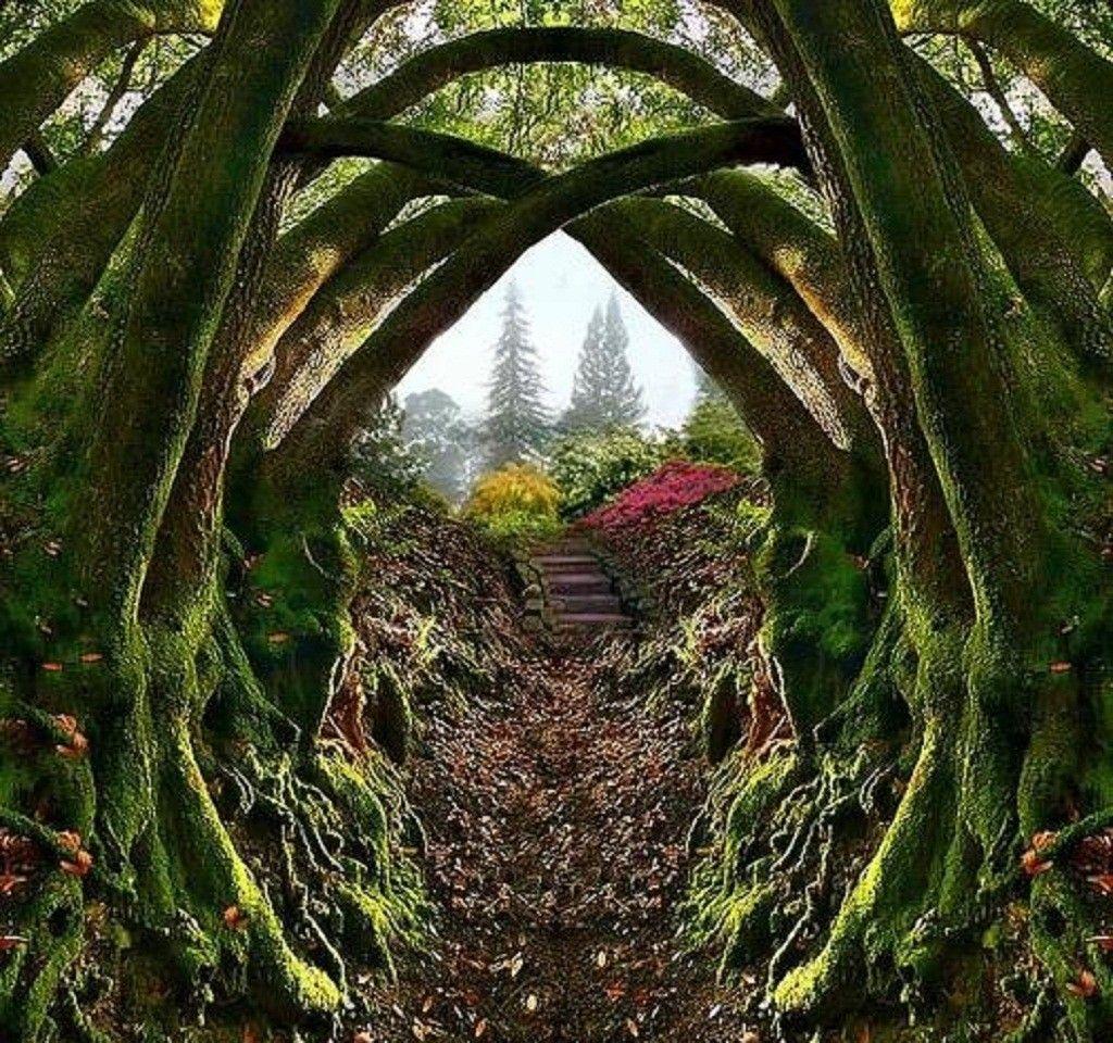 Other Entrance Secret Garden Portland Oregon Entrace Nature