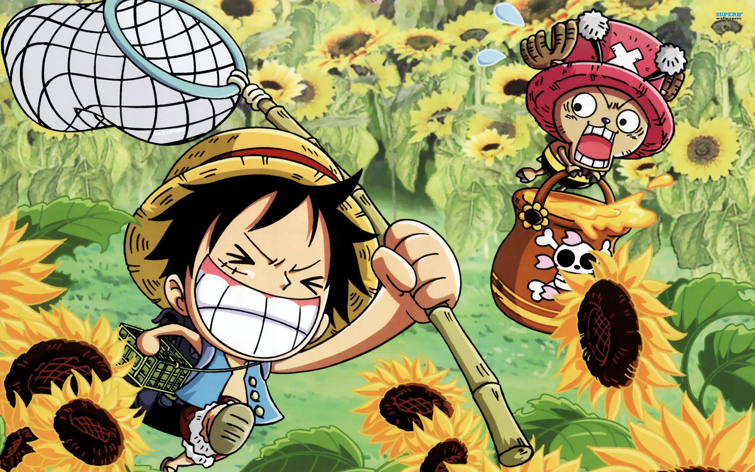One Piece Background HD