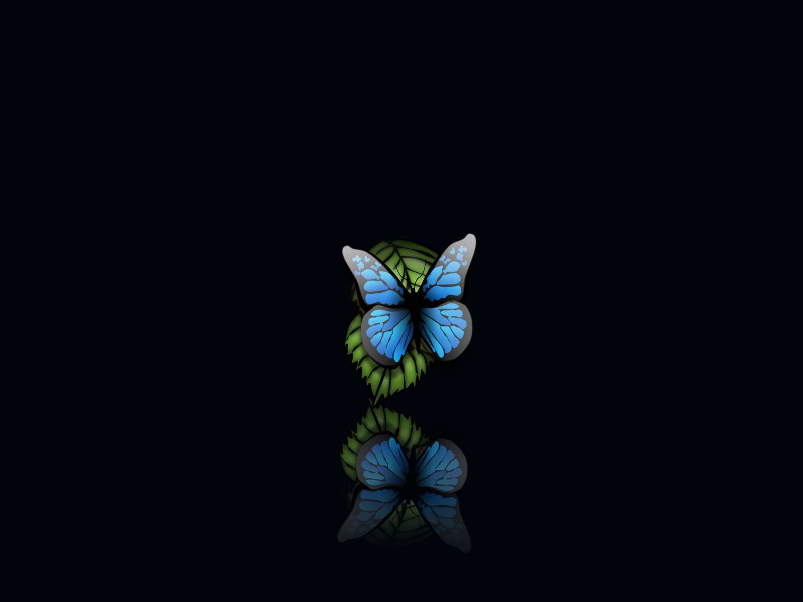 1391) Black Butterfly Image Wallpaper