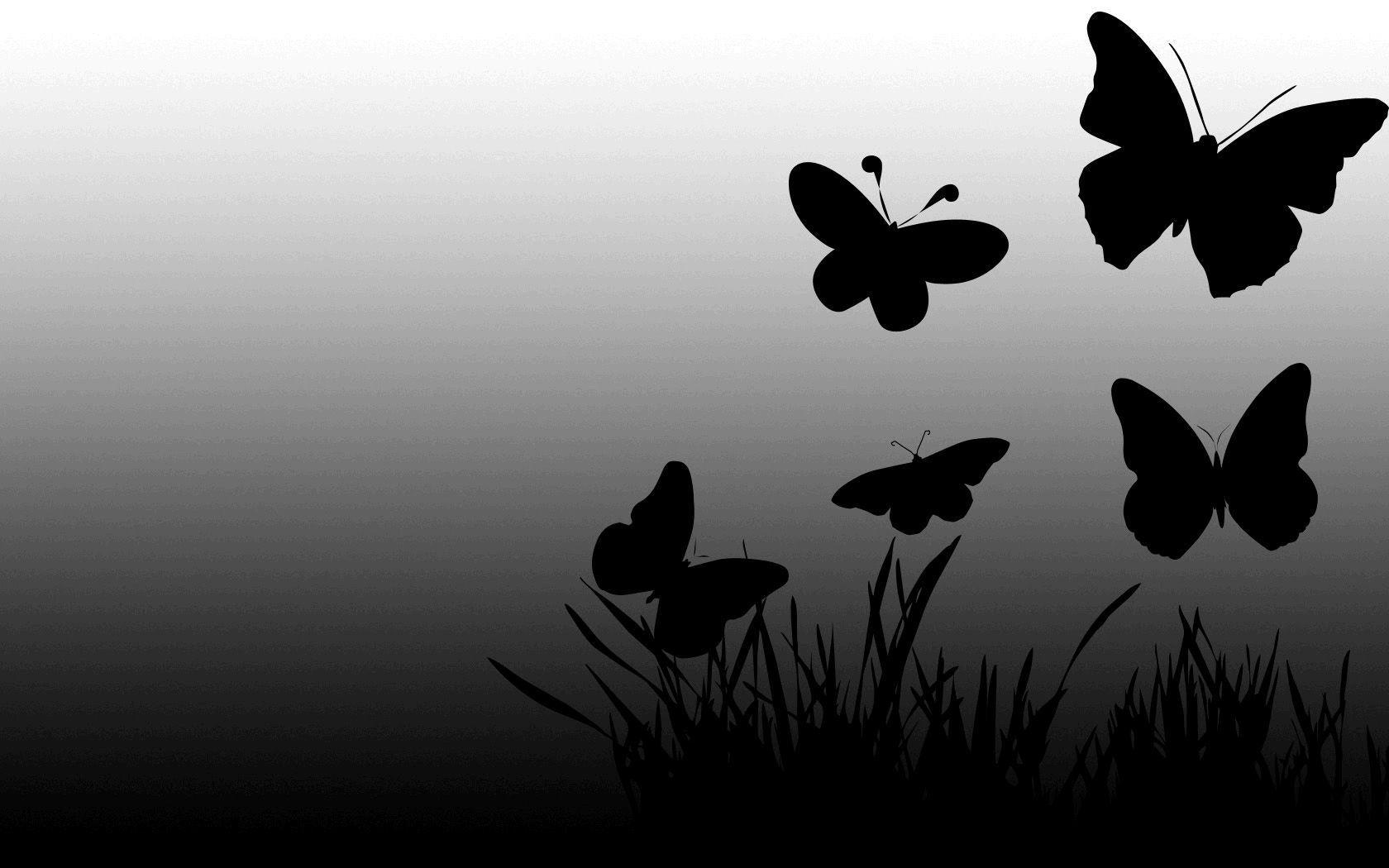 black butterfly wallpaper butterfly wallpaper black and white black