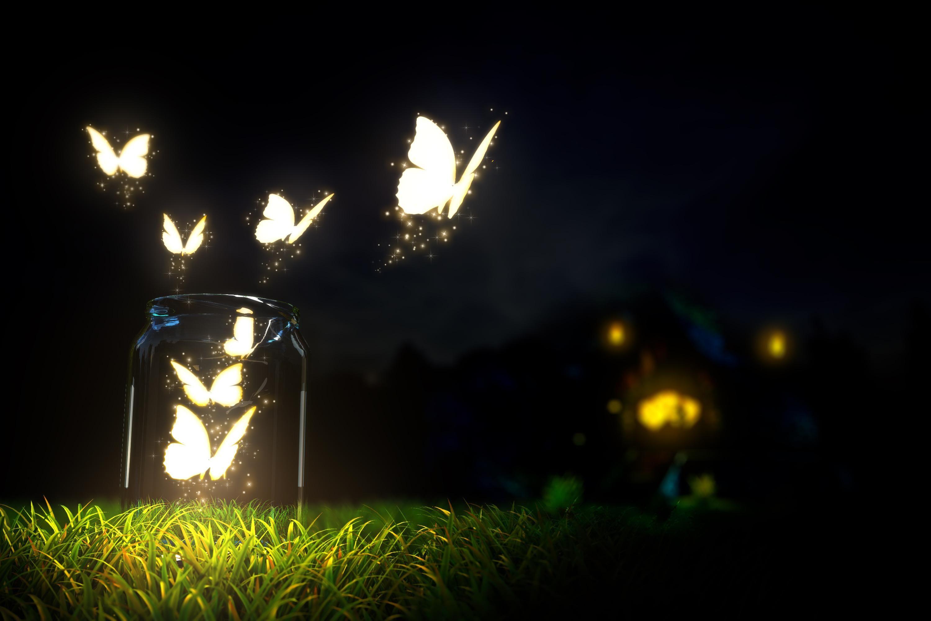 Glowing Butterfly Wallpaper HD / Desktop and Mobile Background