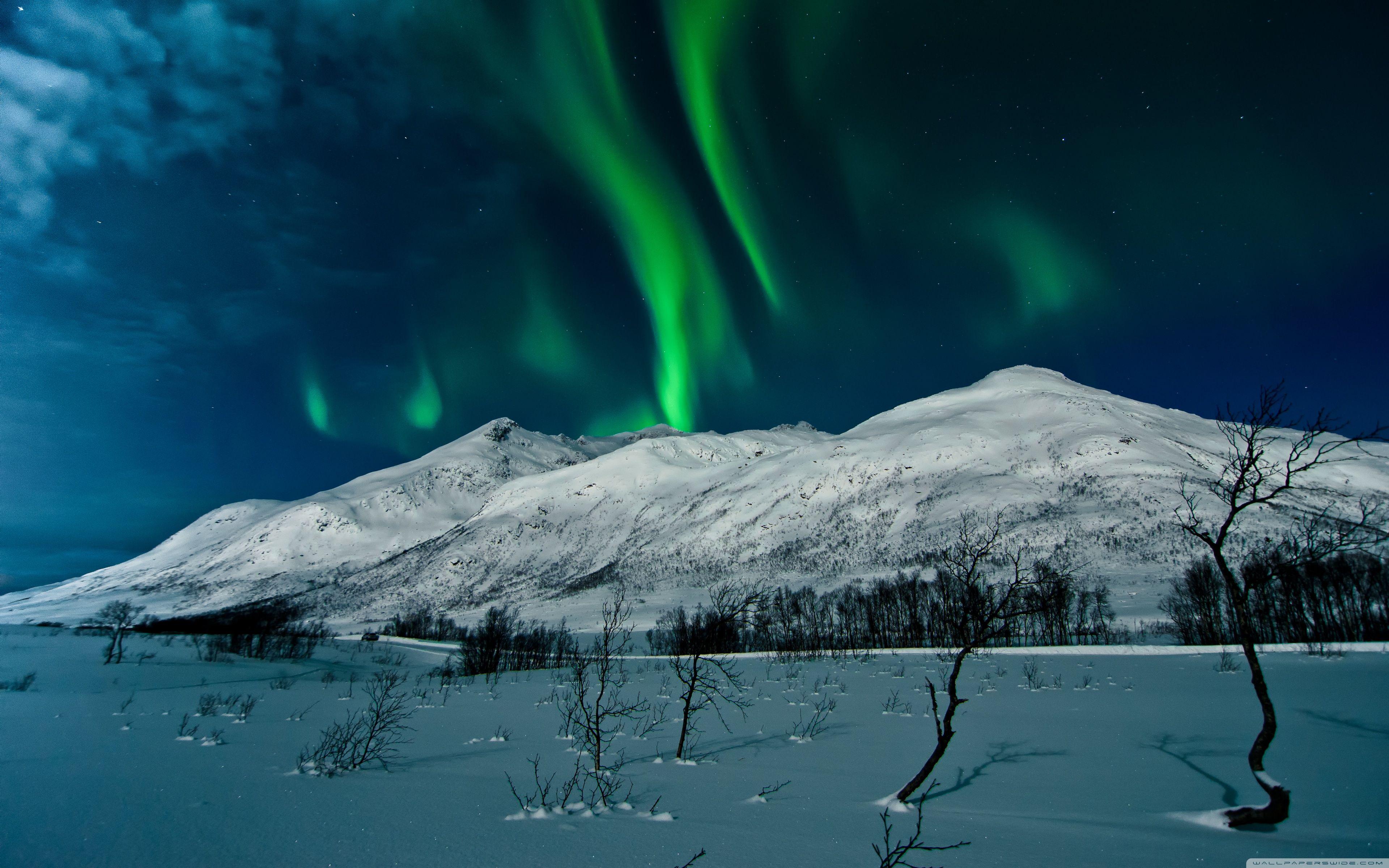 Aurora Borealis, Norway UHD Desktop Wallpaper