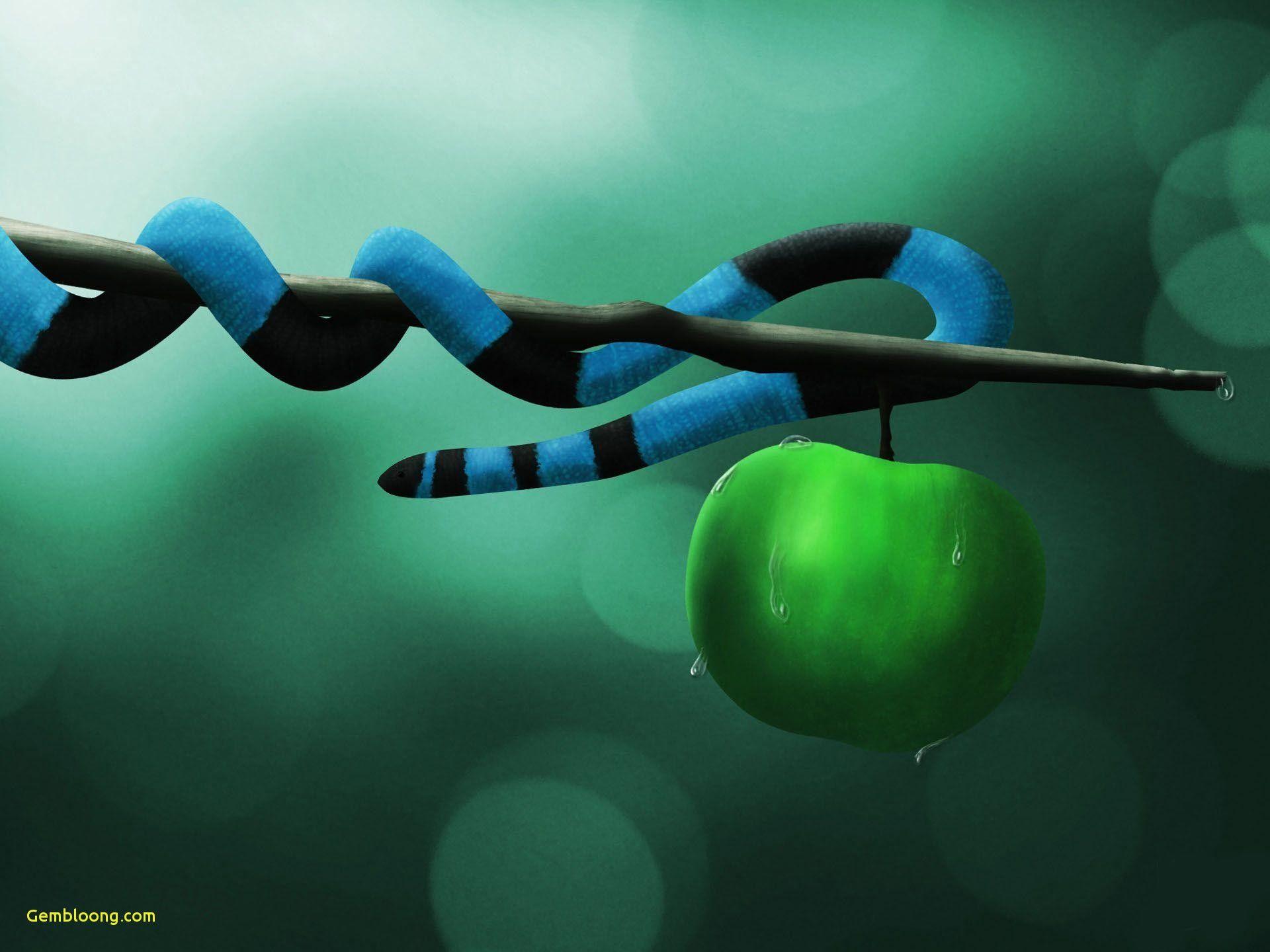 Santabanta Wallpaper HD for Pc Nature Beautiful Amazing Wallpaper