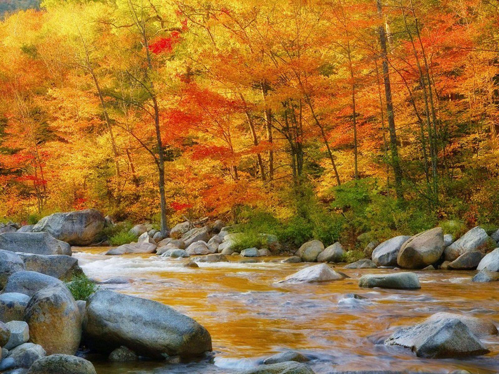 Nature Santabanta 2016 Full HD