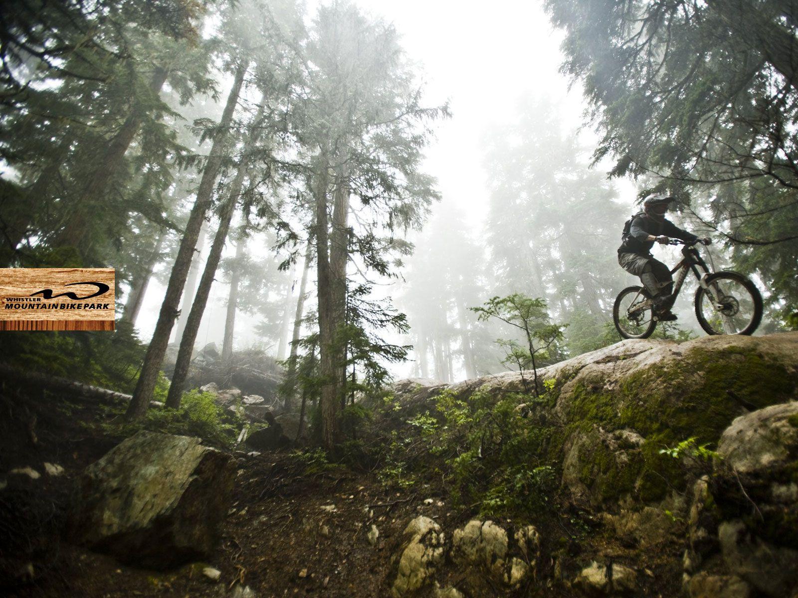 Whistler Mountain Bike. Mtb action. Whistler, MTB