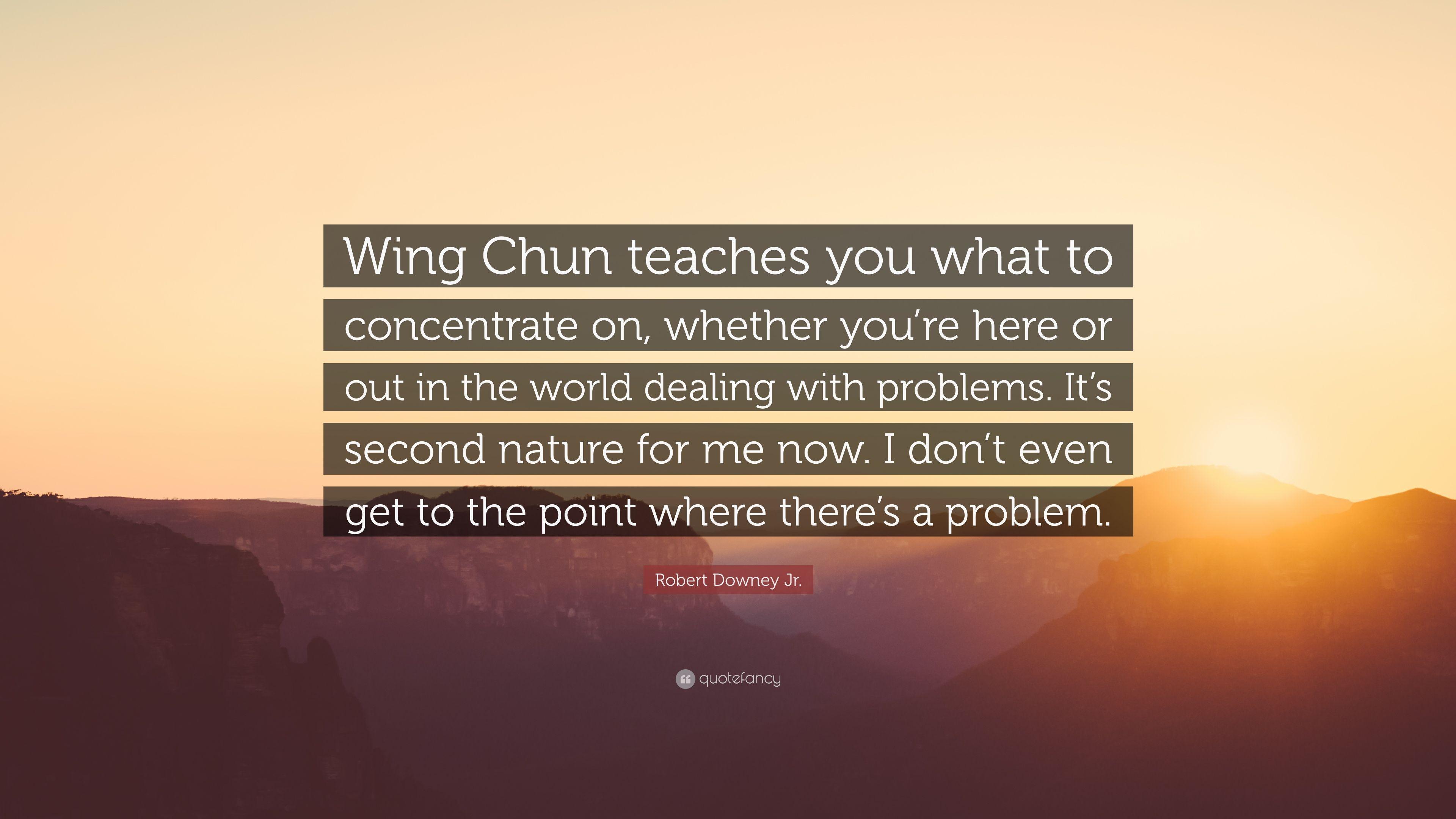 Robert Downey Jr. Quote: “Wing Chun teaches you what to concentrate