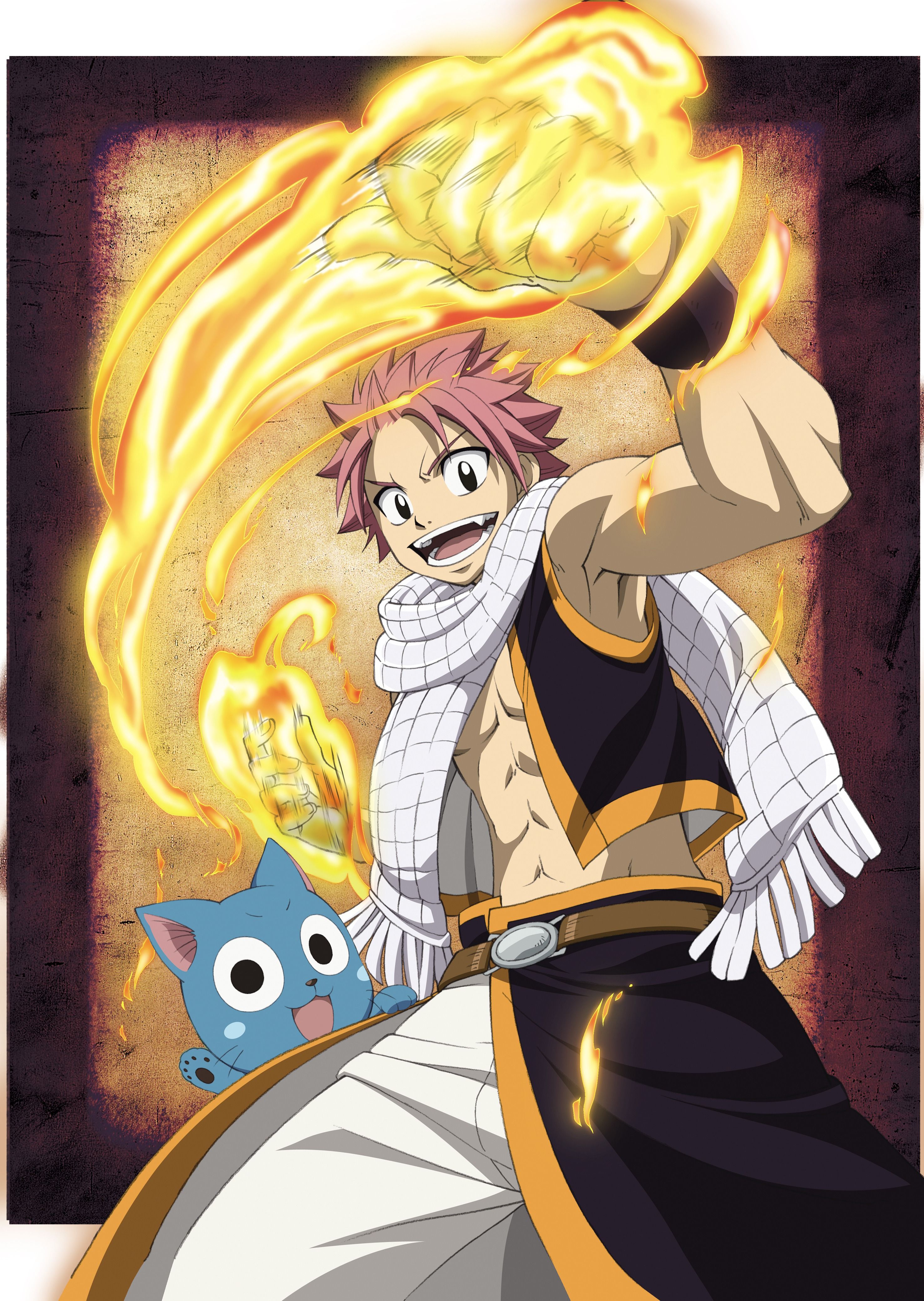 fairy tail happy and natsu wallpaper