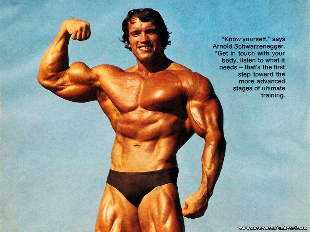 arnold schwarzenegger bodybuilding poster