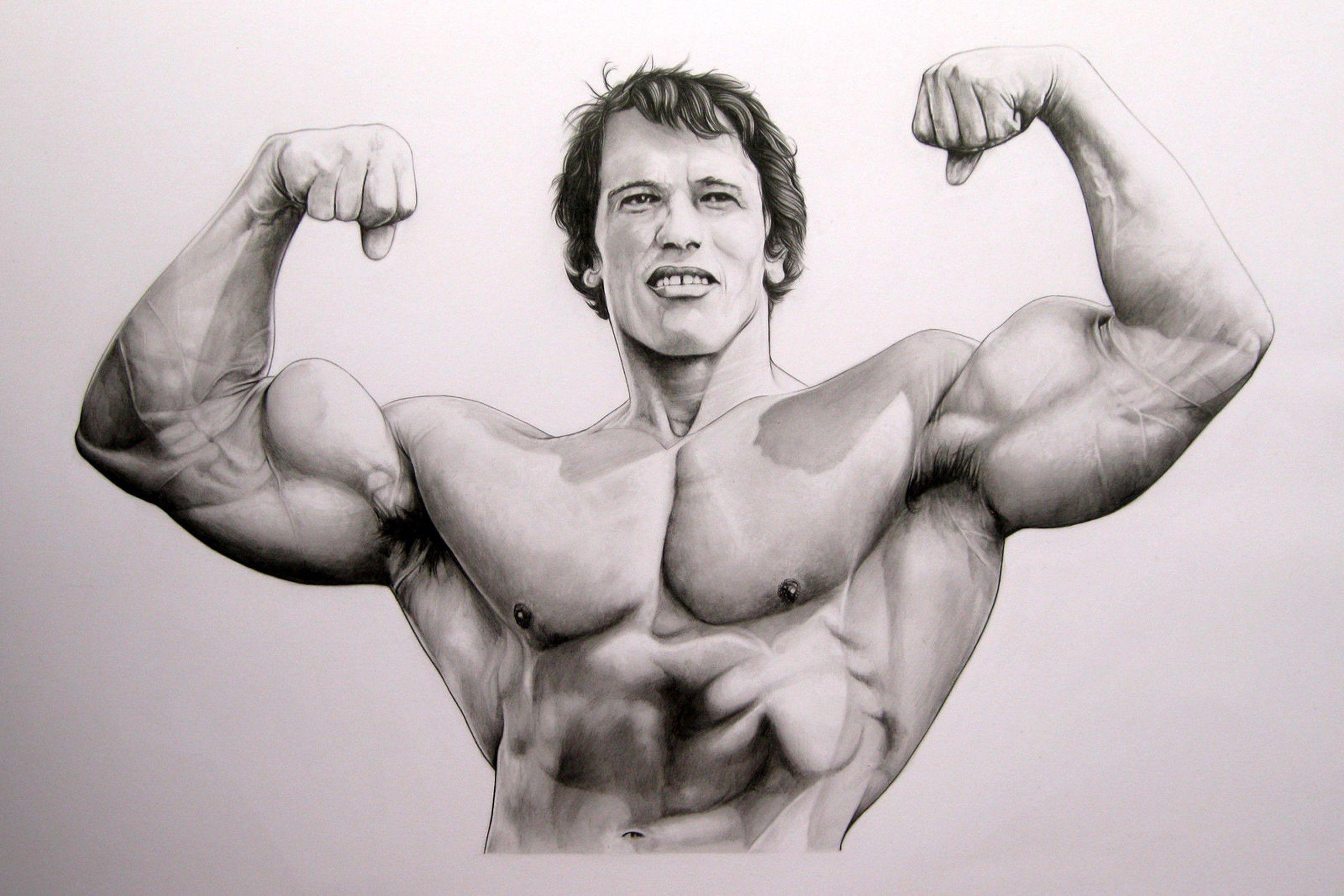 Arnold Schwarzenegger Bodybuilding Wallpaper Posters and Picture