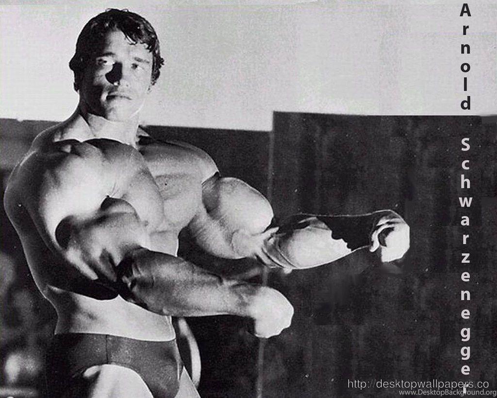 Arnold Schwarzenegger Bodybuilding Wallpaper Posters And Picture