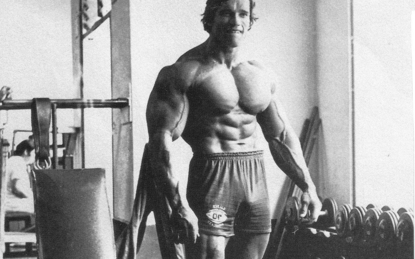 Sports, Bodybuilding, Arnold Schwarzenegger, Bodybuilding