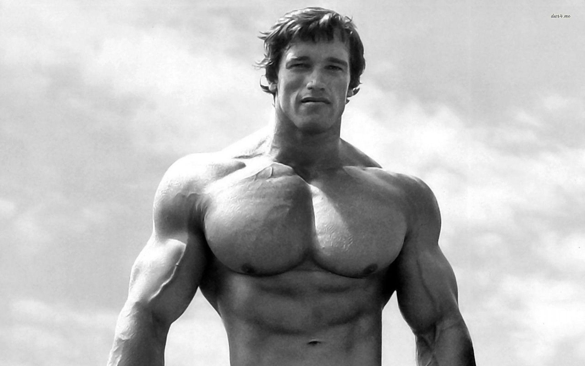 Arnold Bodybuilding Wallpaper. (52++ Wallpaper)