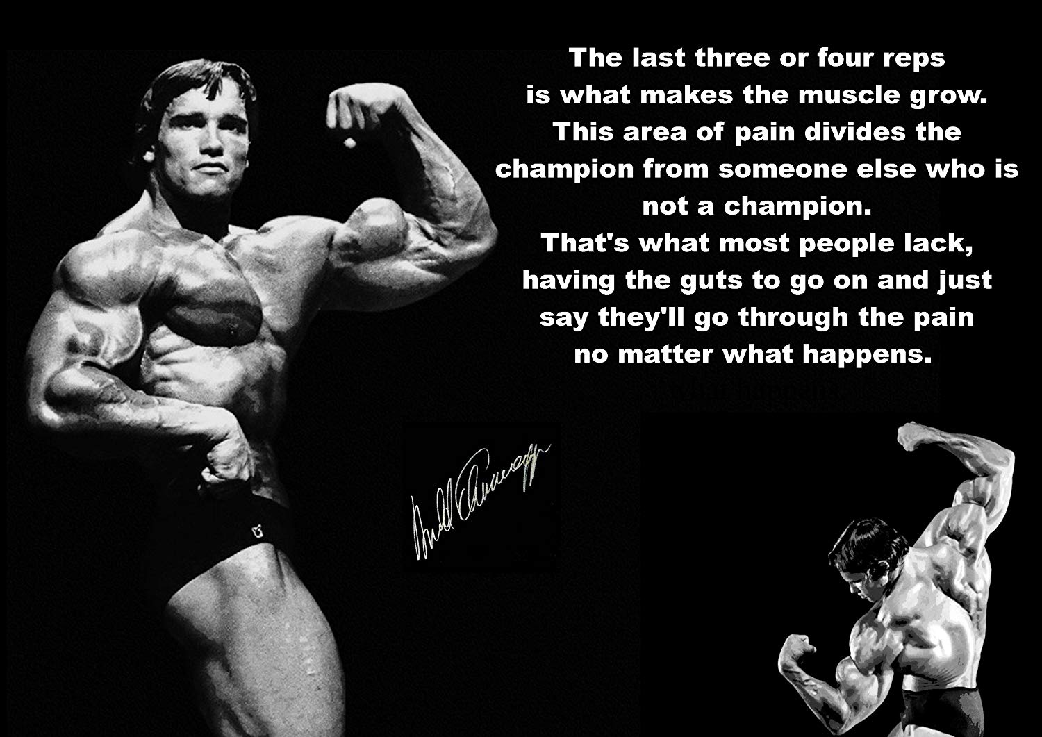 Arnold Schwarzenegger Bodybuilding Wallpapers Posters And Pictures