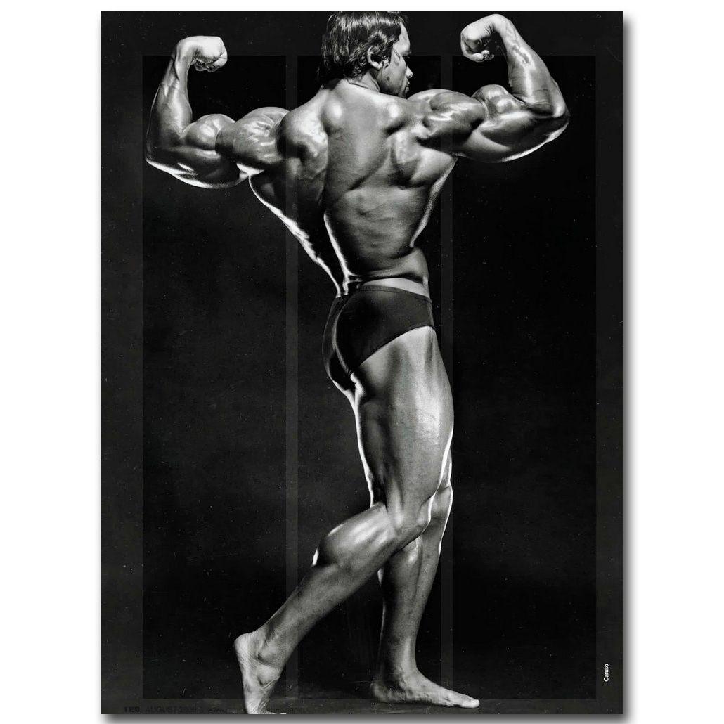 Arnold Schwarzenegger Bodybuilding Motivational Art Silk Poster