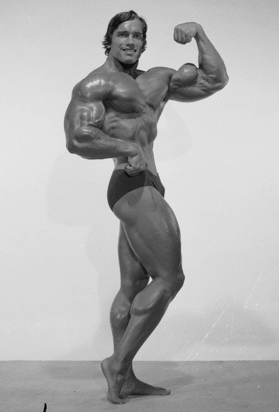 Arnold Schwarzenegger Best Gallery Of This Bodybuilding Icon!
