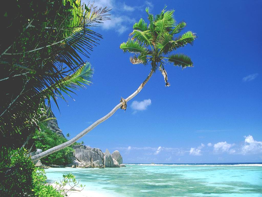 Goa Beaches Wallpapers Wallpaper Cave