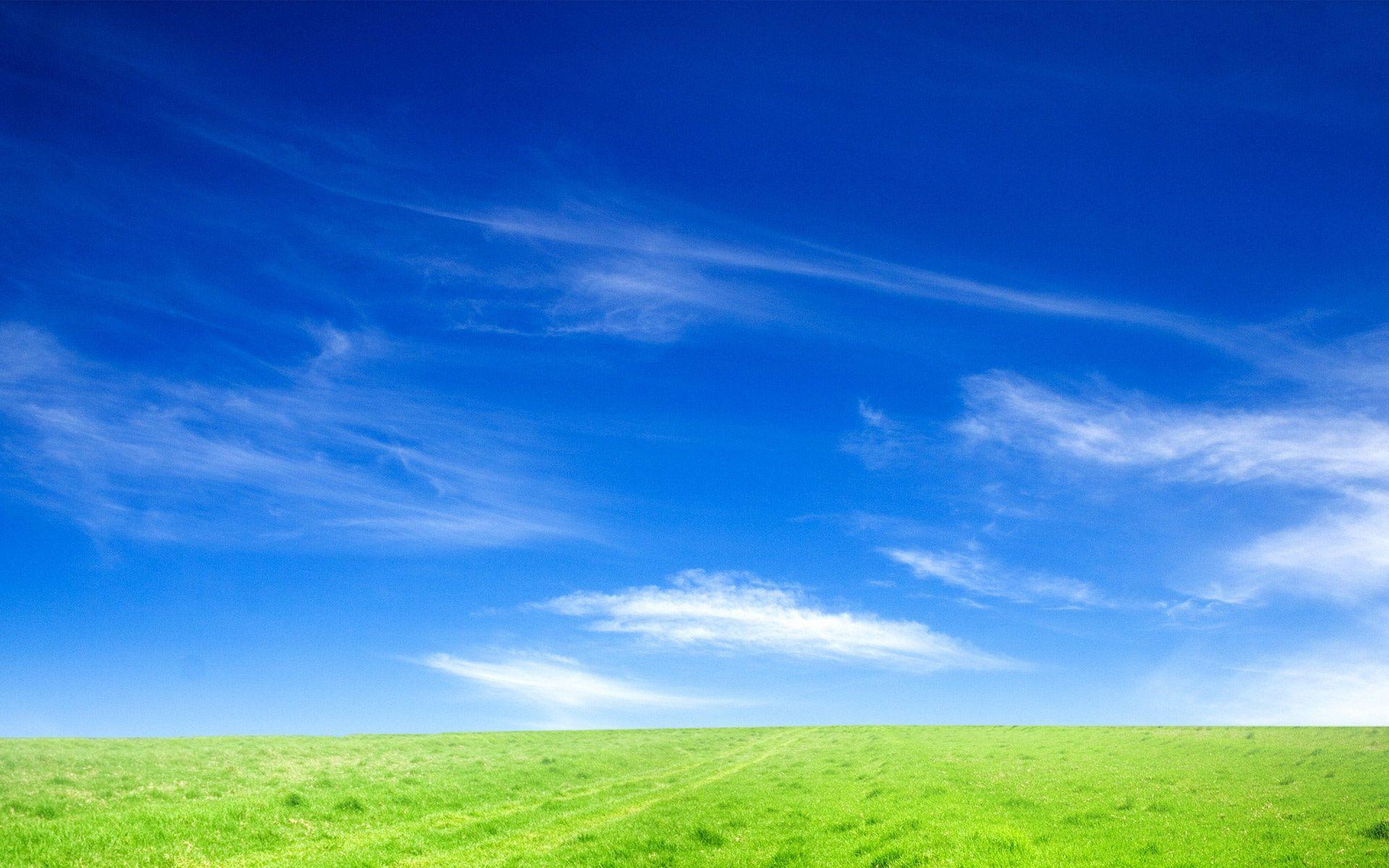 grass and sky. Blue sky background, Landscape