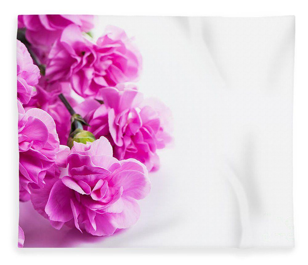 Pink Soft Spring Flowers Bouquet On White Background Fleece Blanket