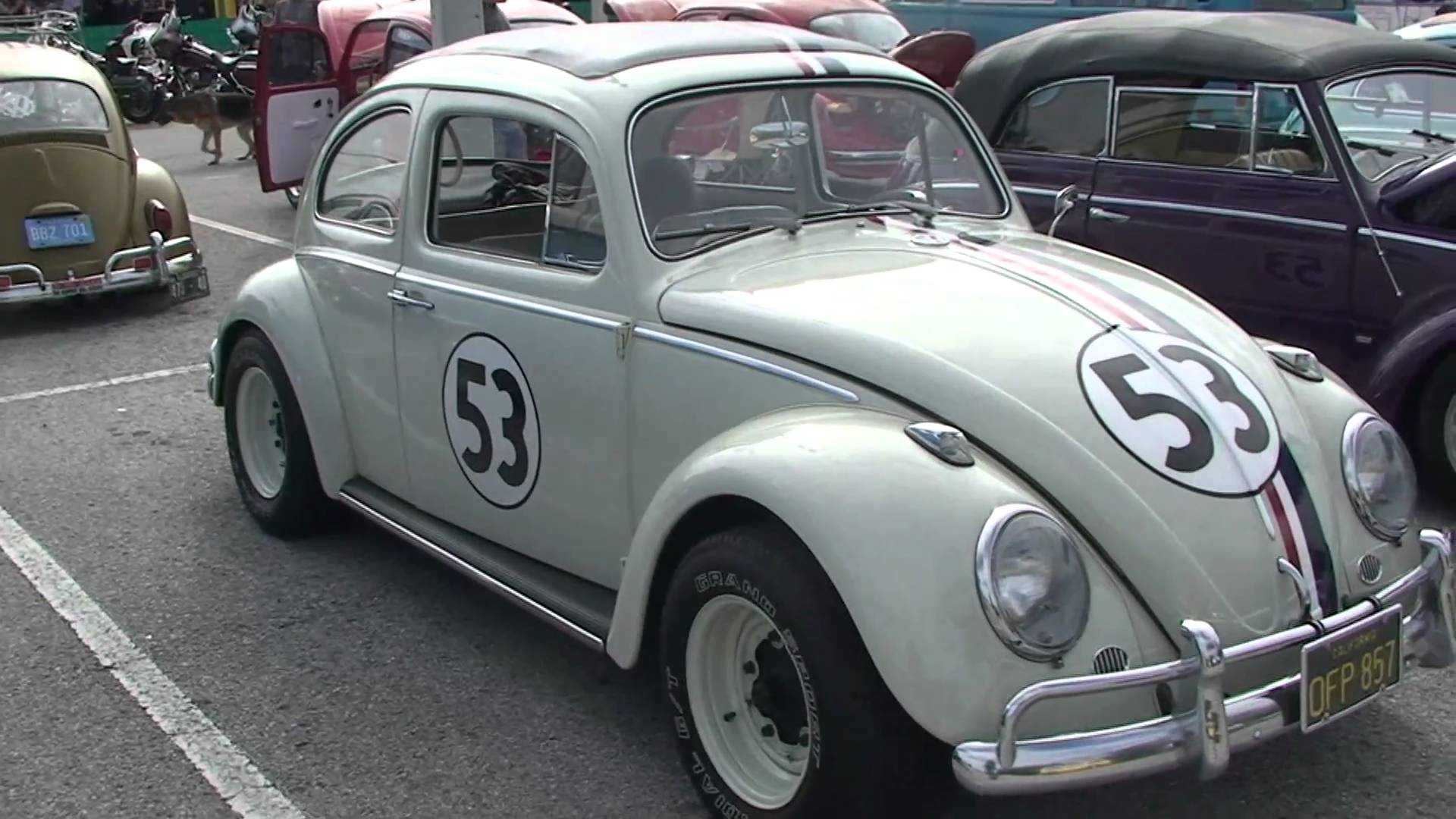 HERBIE THE LOVE BUG AT VW SHOW IN FLORIDA
