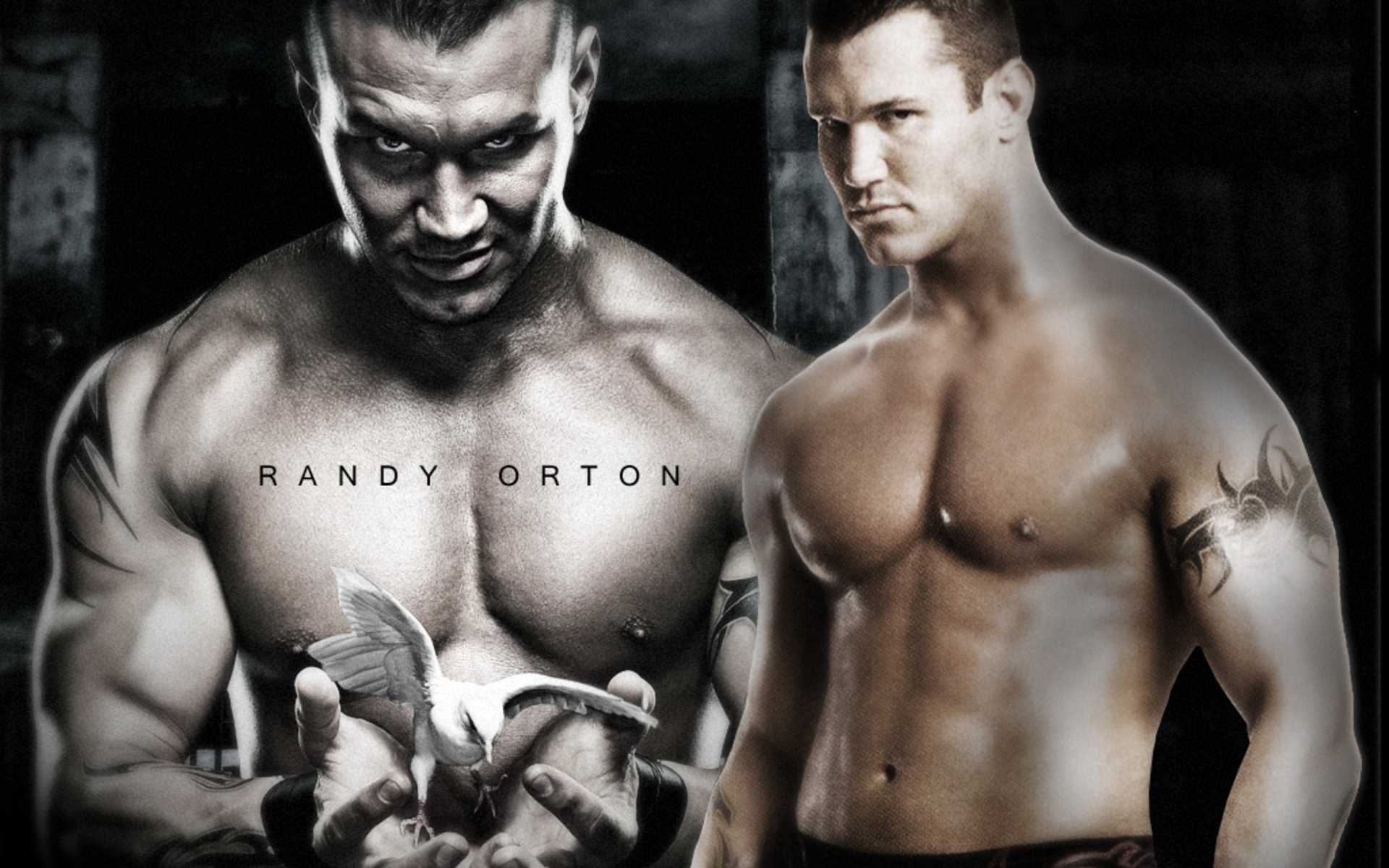 WWE Randy Orton Wallpaper