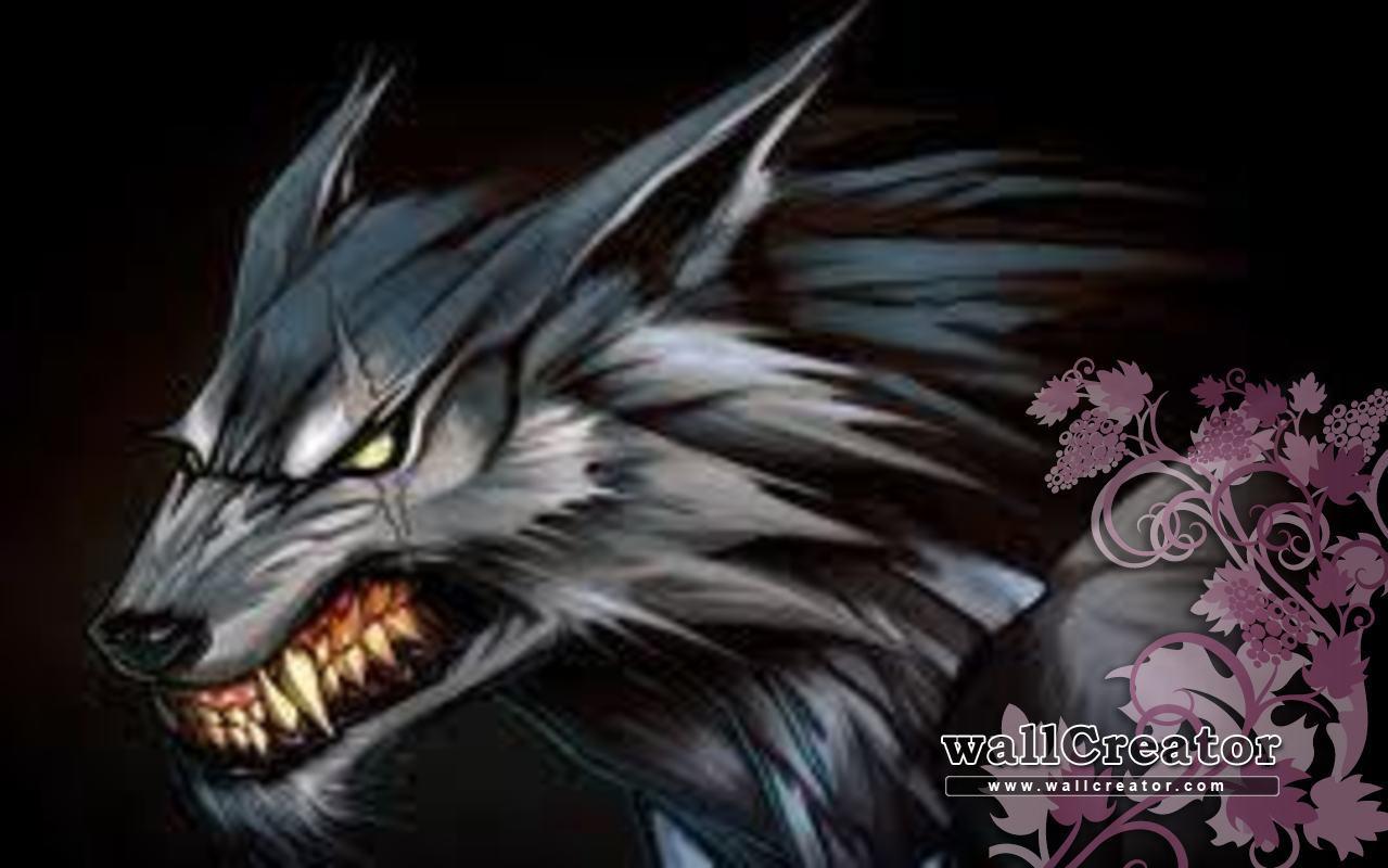 Adorable Tribal Wolf Image & Wallpaper Can Clowser