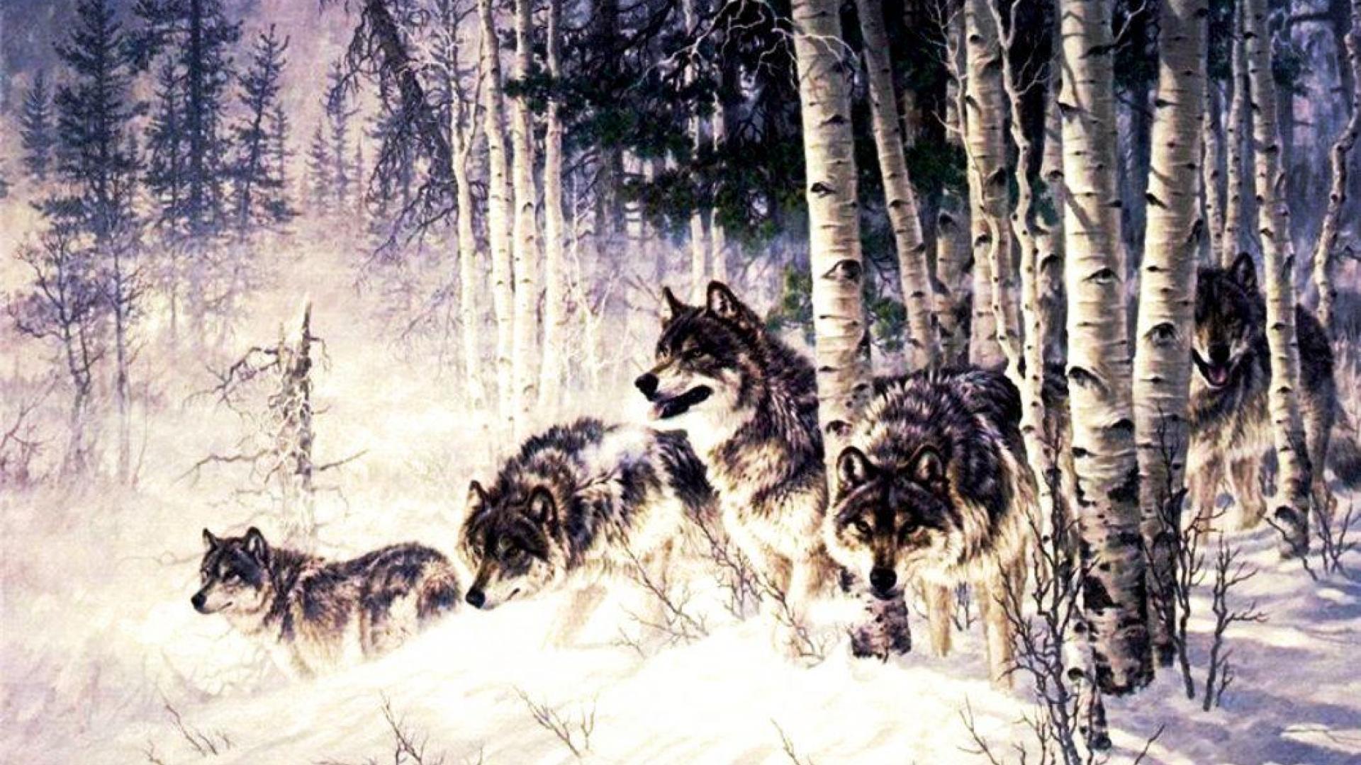 Wolf Pack Wallpaper Gallery (84 Plus) PIC WPW5011449