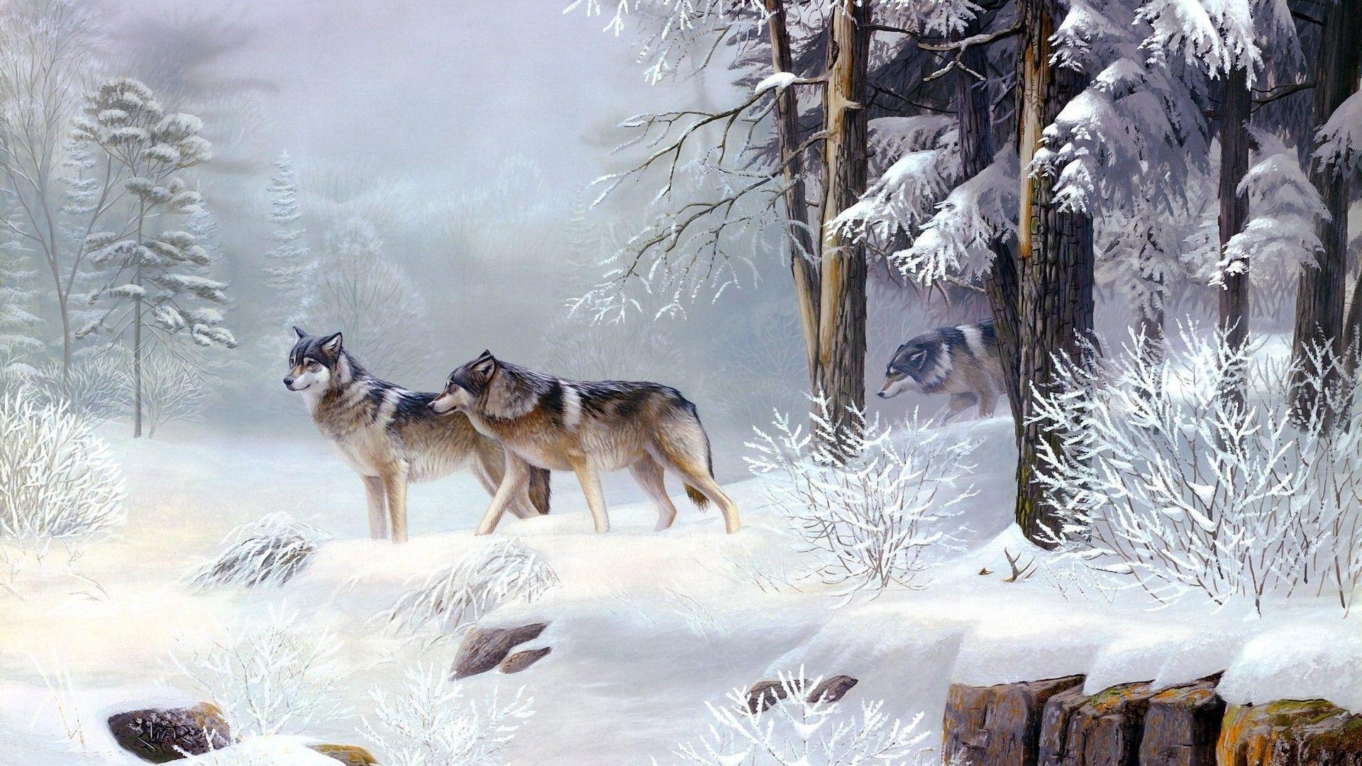 Wolf Pack Wallpaper Gallery (84 Plus) PIC WPW5011509