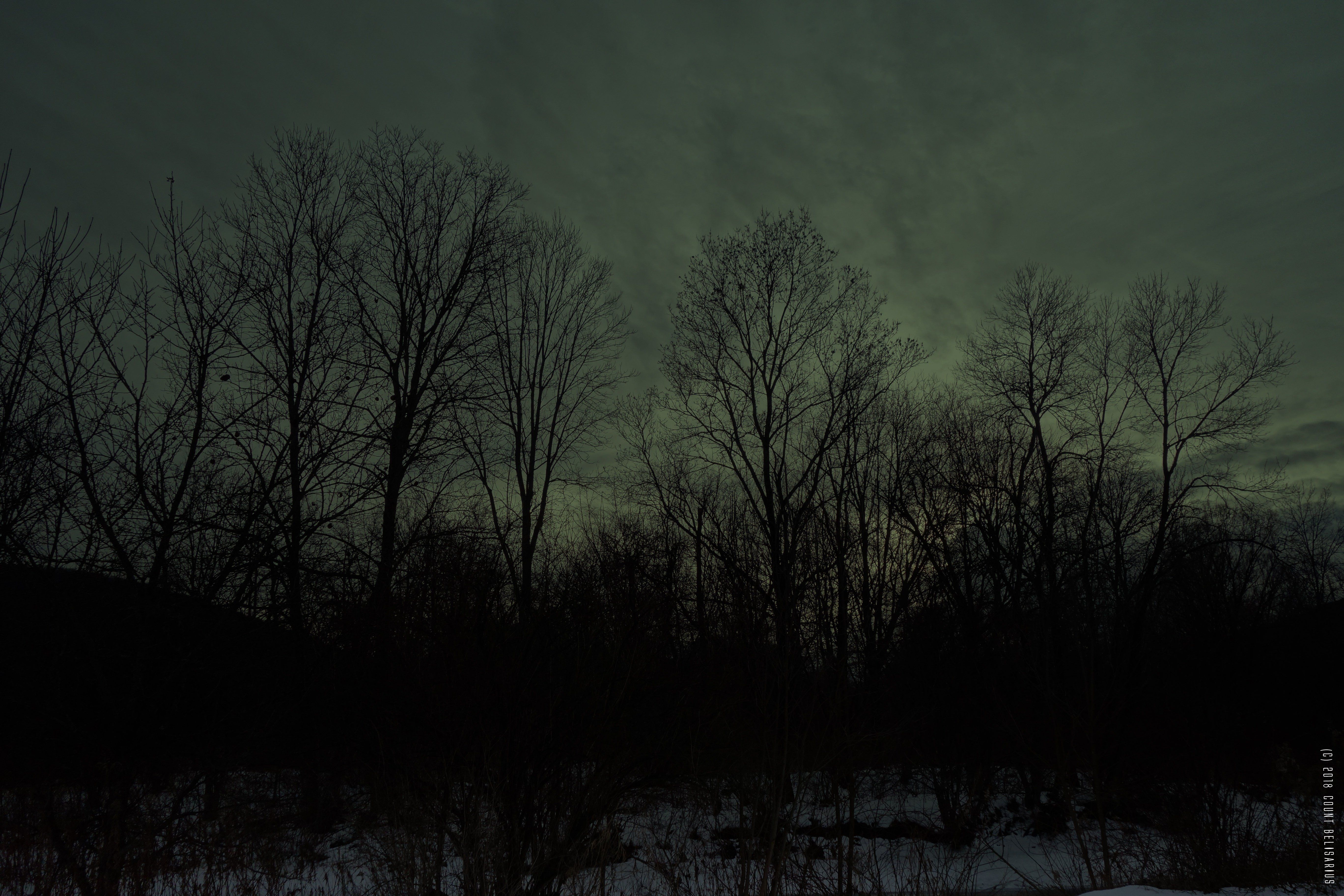 Dark Winter Wallpaper 4k