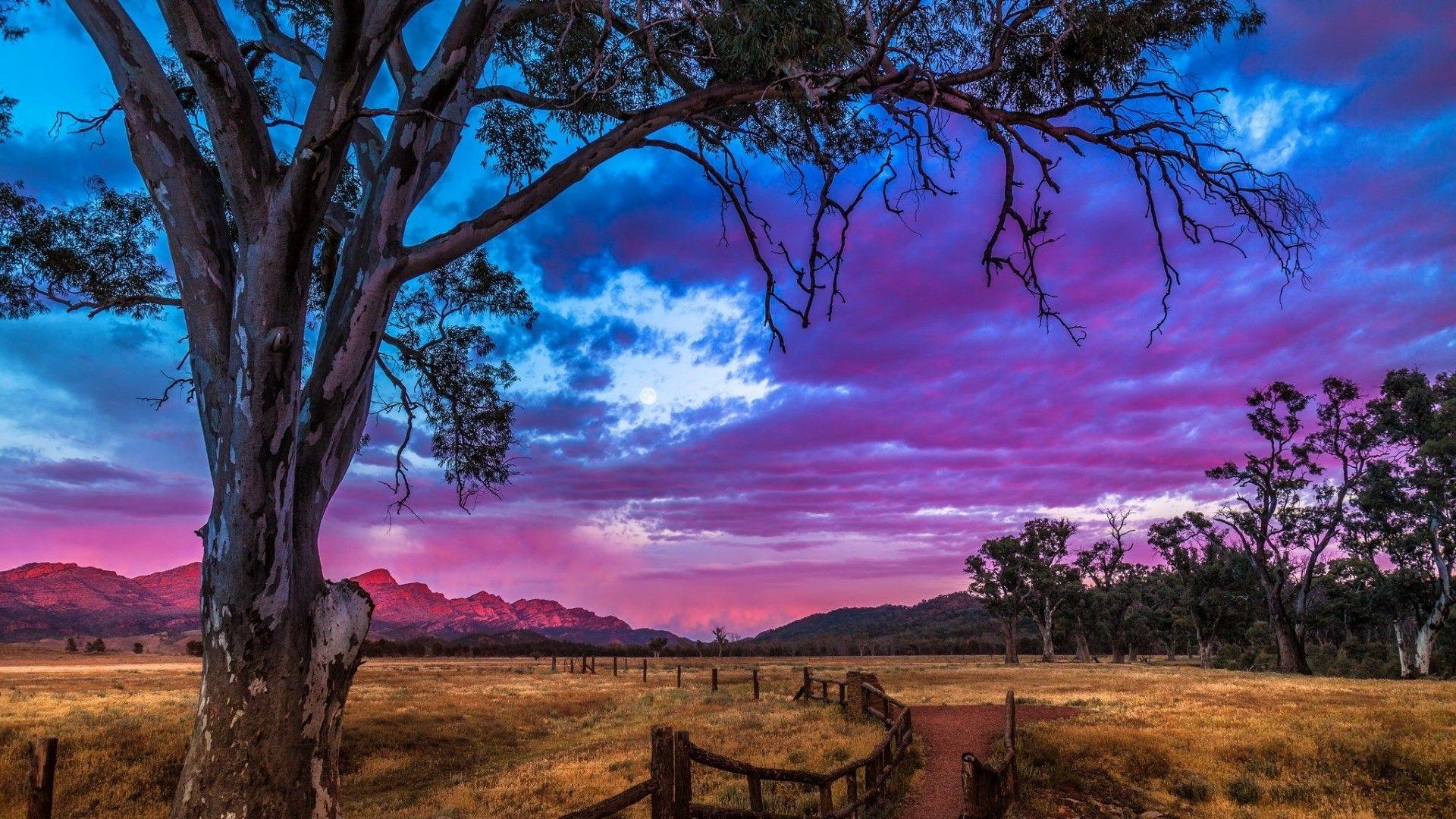 Sky: Beautiful Sky Evening Colorful Grass Clouds Moon Trees Fence