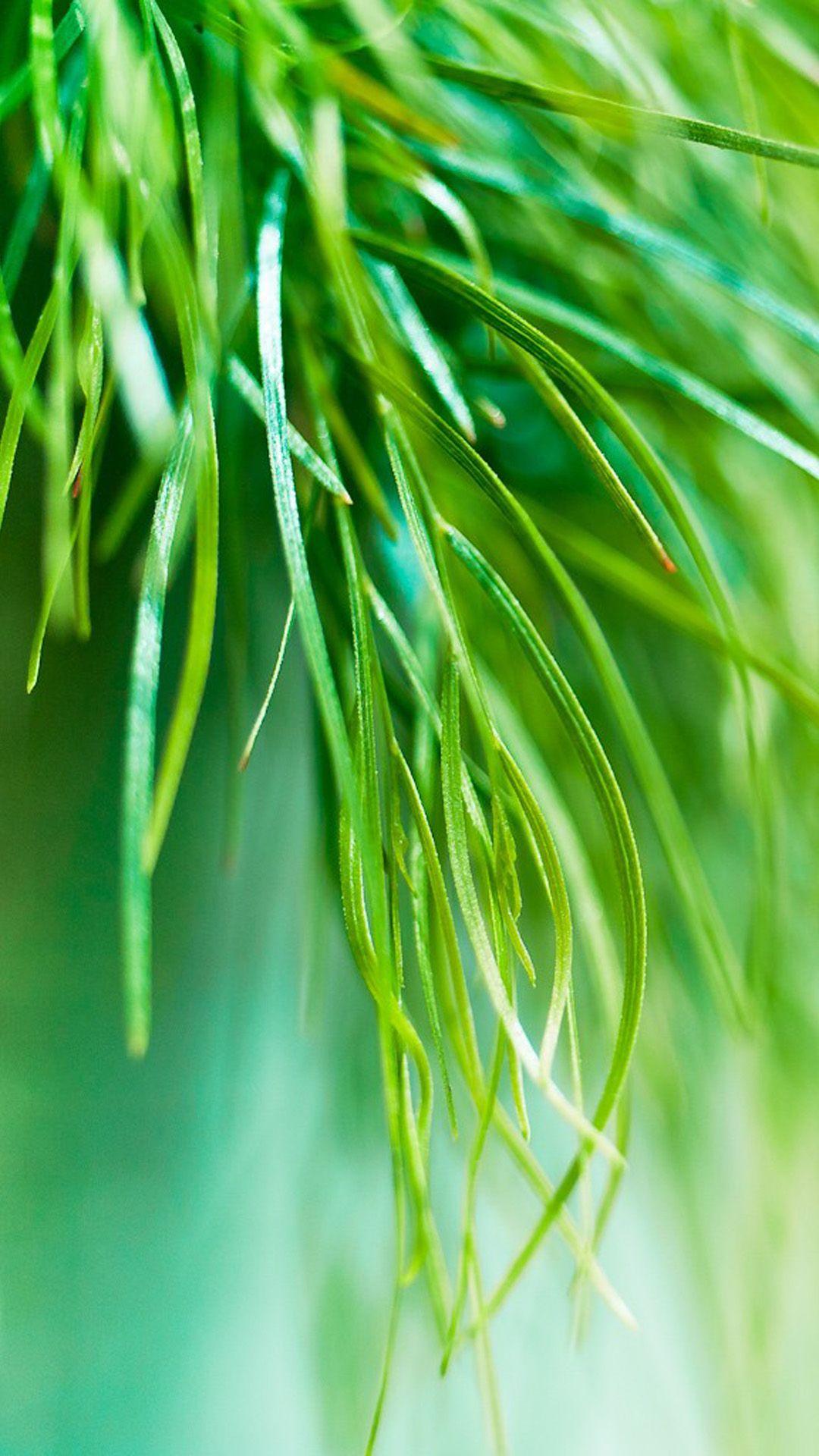 free wallpaper for samsung galaxy. Free HD Wallpaper Download