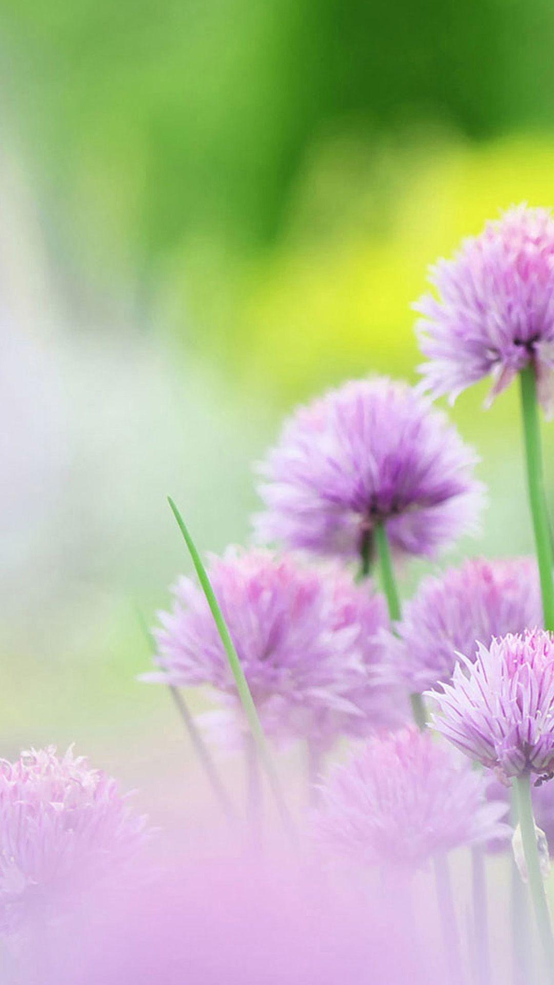 Free Wallpaper For Samsung Galaxy 3