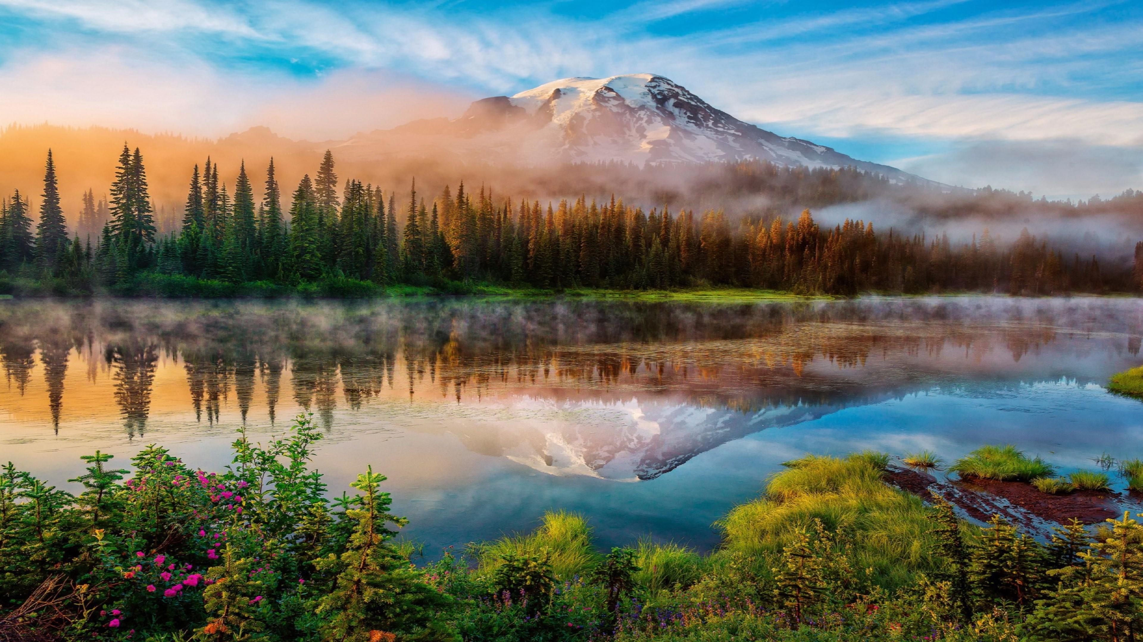 Mount Rainier And Bench Lake Mount Rainier National Park
