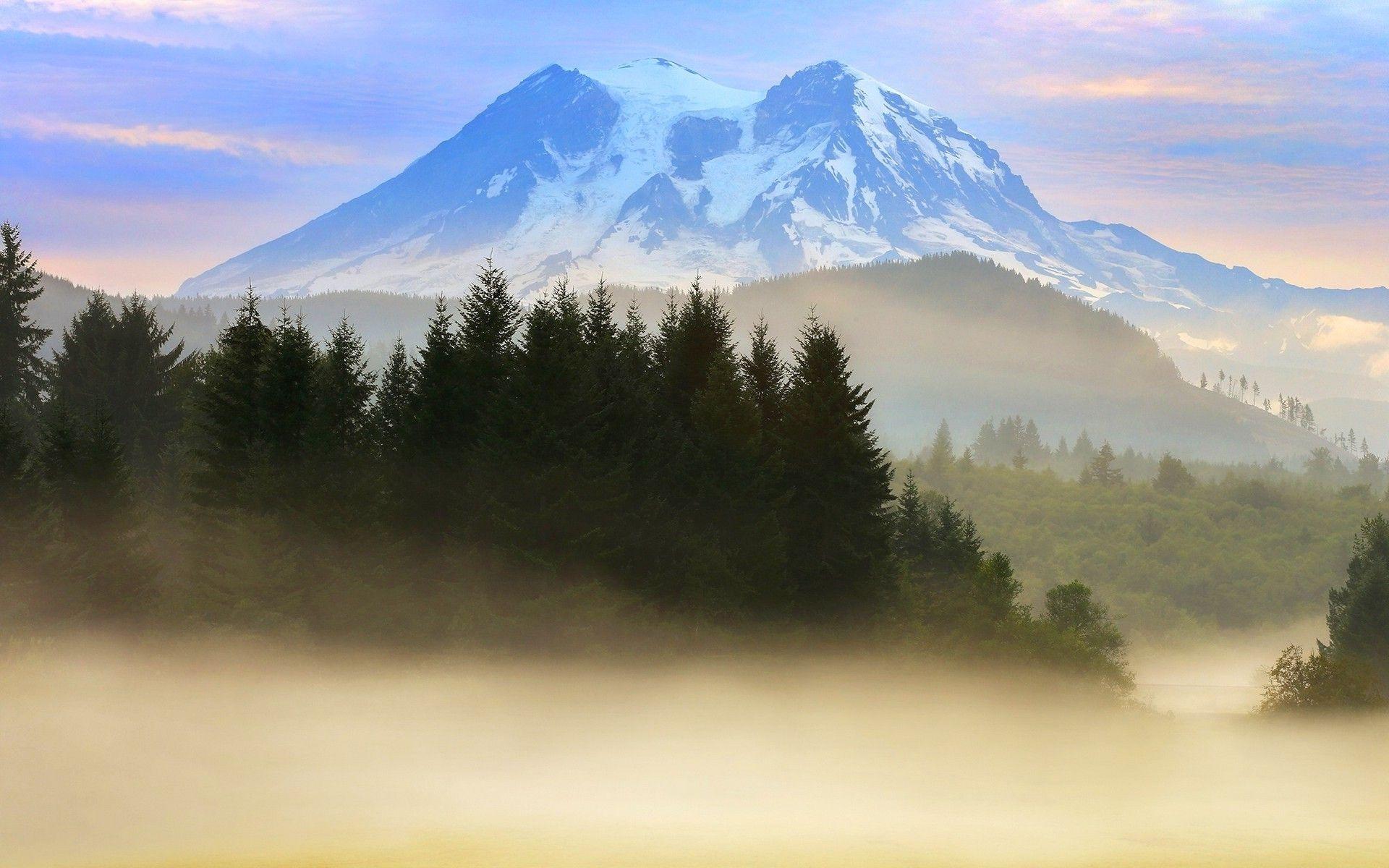 nature, Landscape, Mountain, Mist, Snowy Peak, Mount Rainier, Forest
