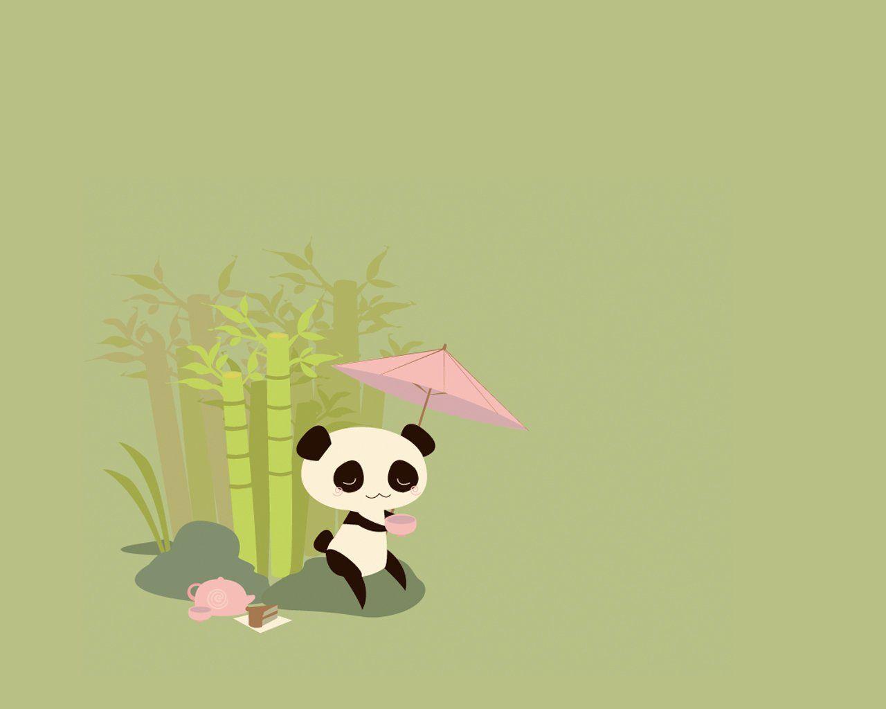 Panda HD Wallpaper and Background Image