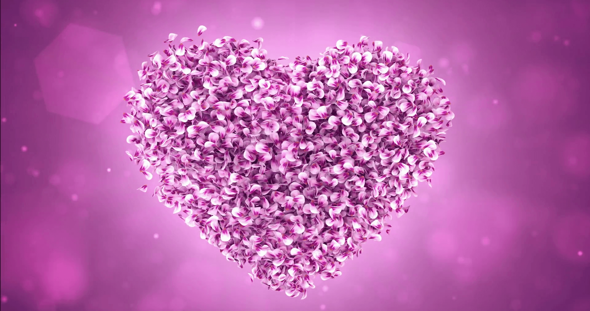 Rotating Pink Rose Sakura Flower Petals In Lovely Heart Shape