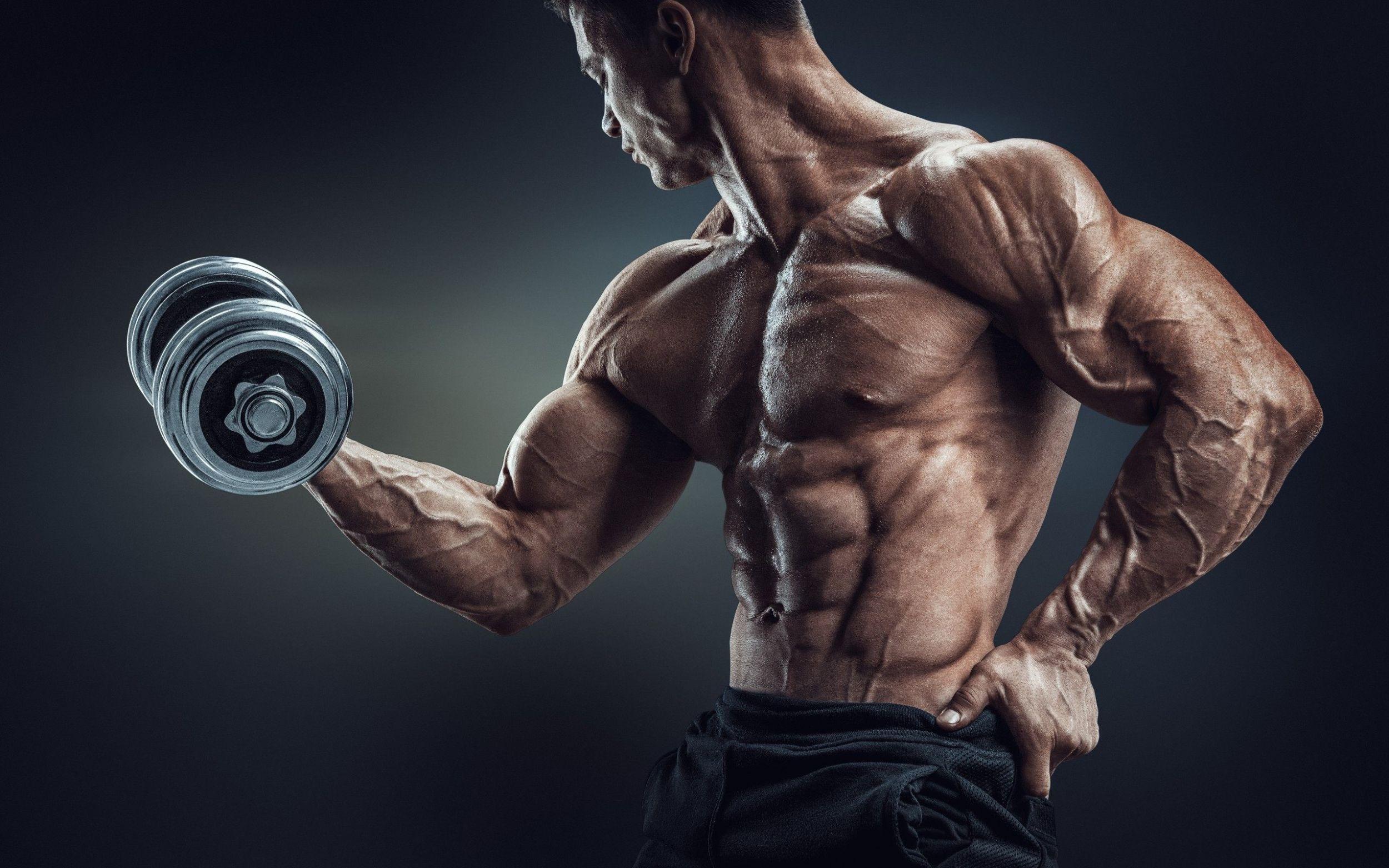 Bodybuilding Wallpaper and Image download for free