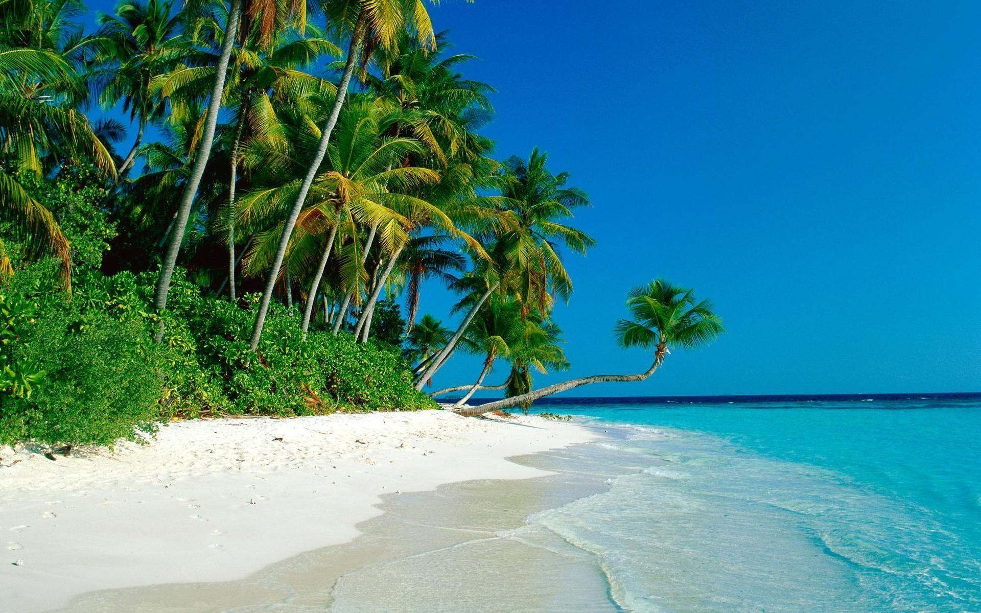 Tropical Island Beach HD Wallpaper, Background Image