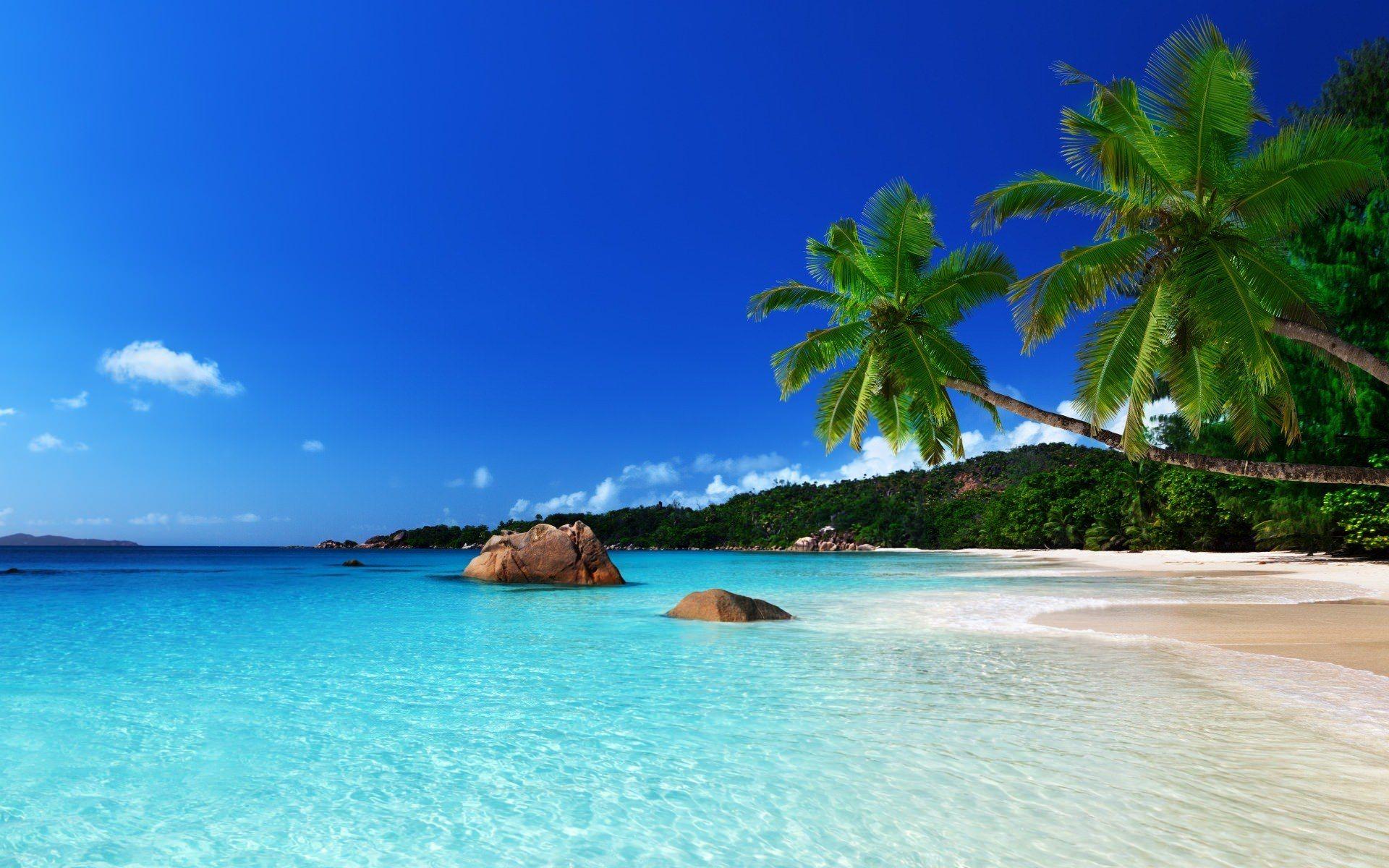 Tropical Beach Background, Wallpaper, Image, Picture