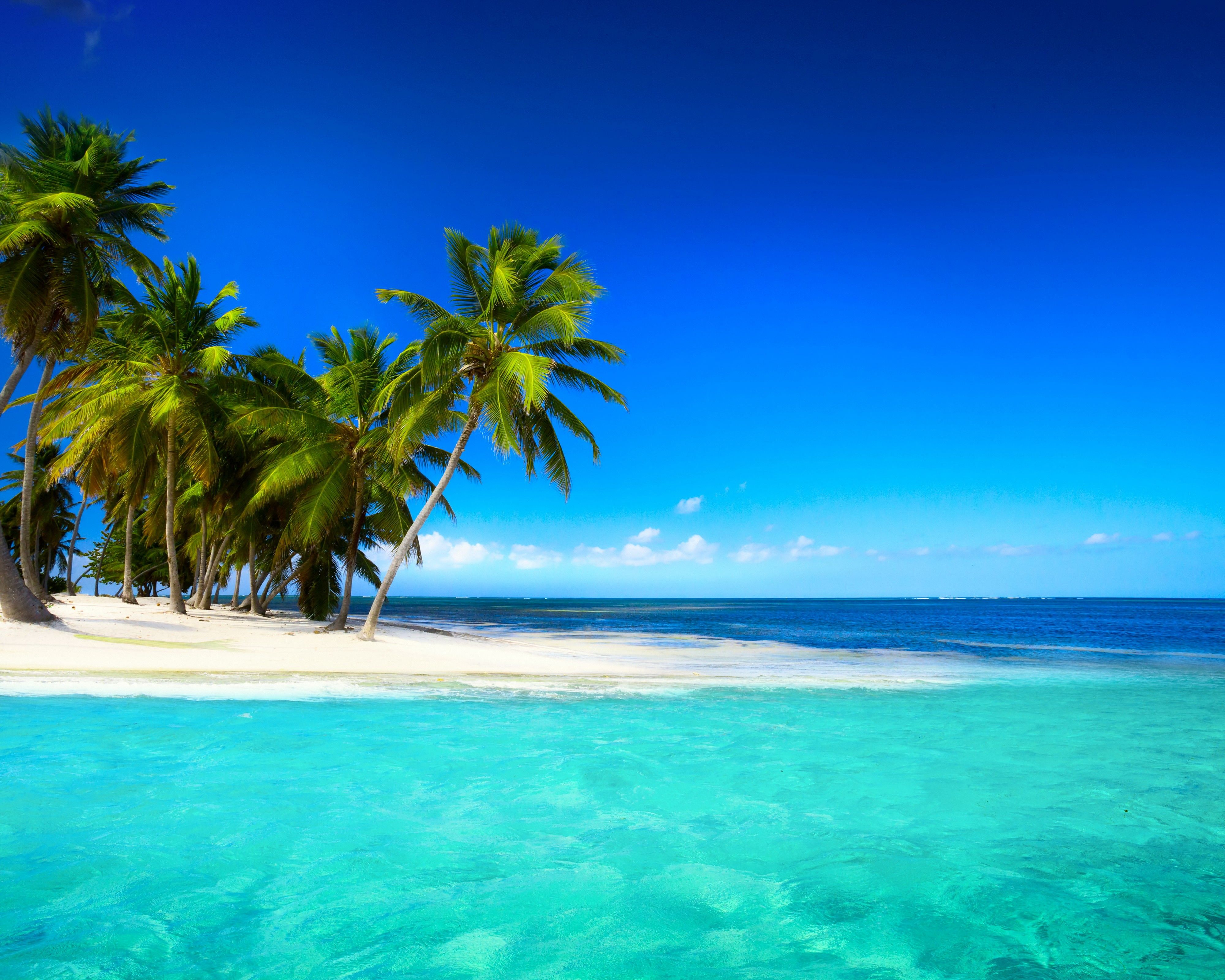 Wallpaper HD For Beach Paradise Sea Palms Tropical Island Desktop