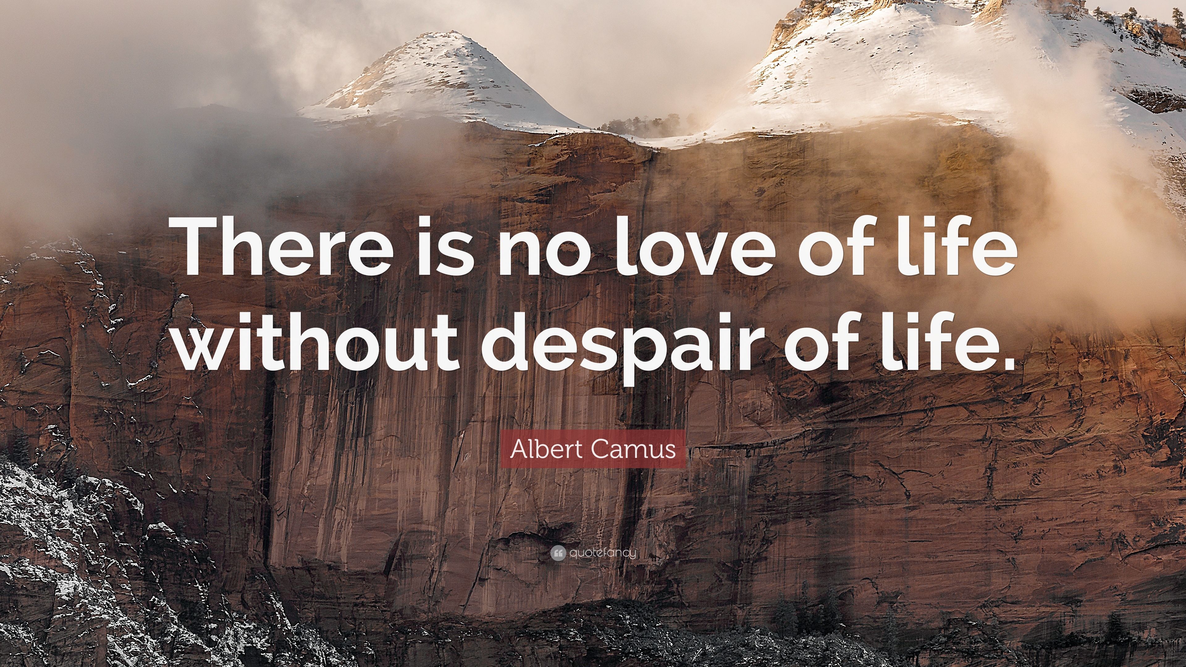 Albert Camus Quote: “There is no love of life without despair