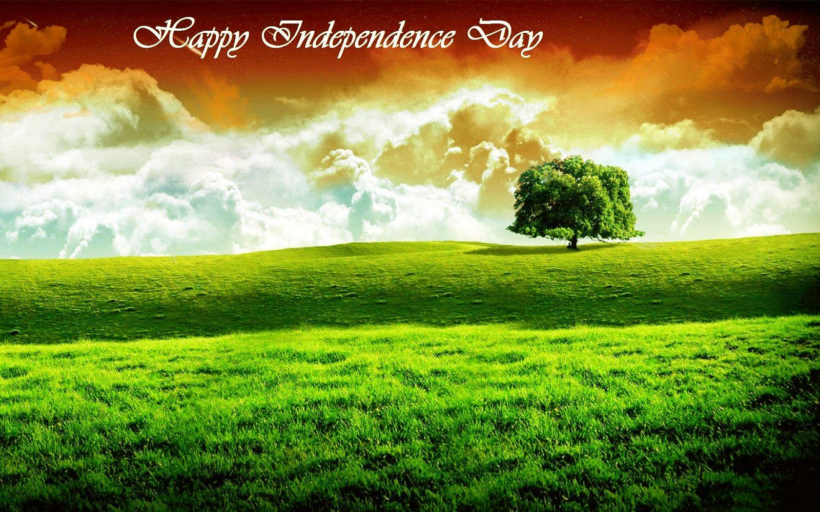 India Independence Day Wallpaper 037