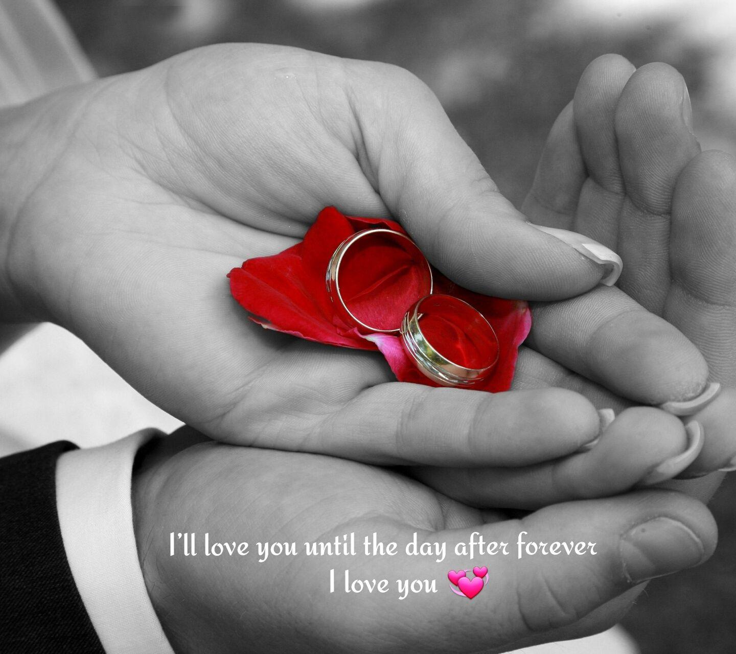 Download Untill the day love forever image laptop