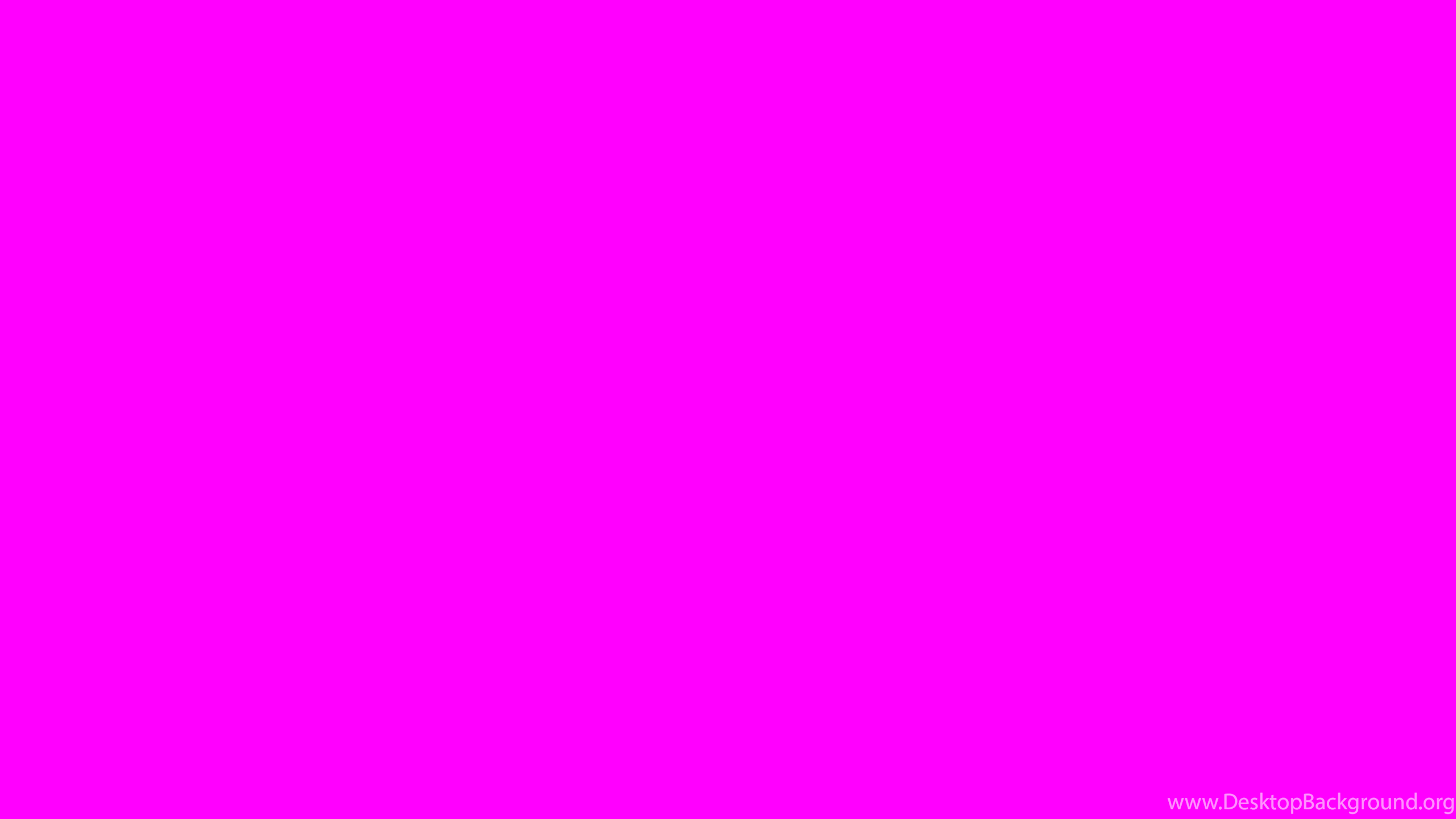 Fuchsia Wallpapers - Wallpaper Cave